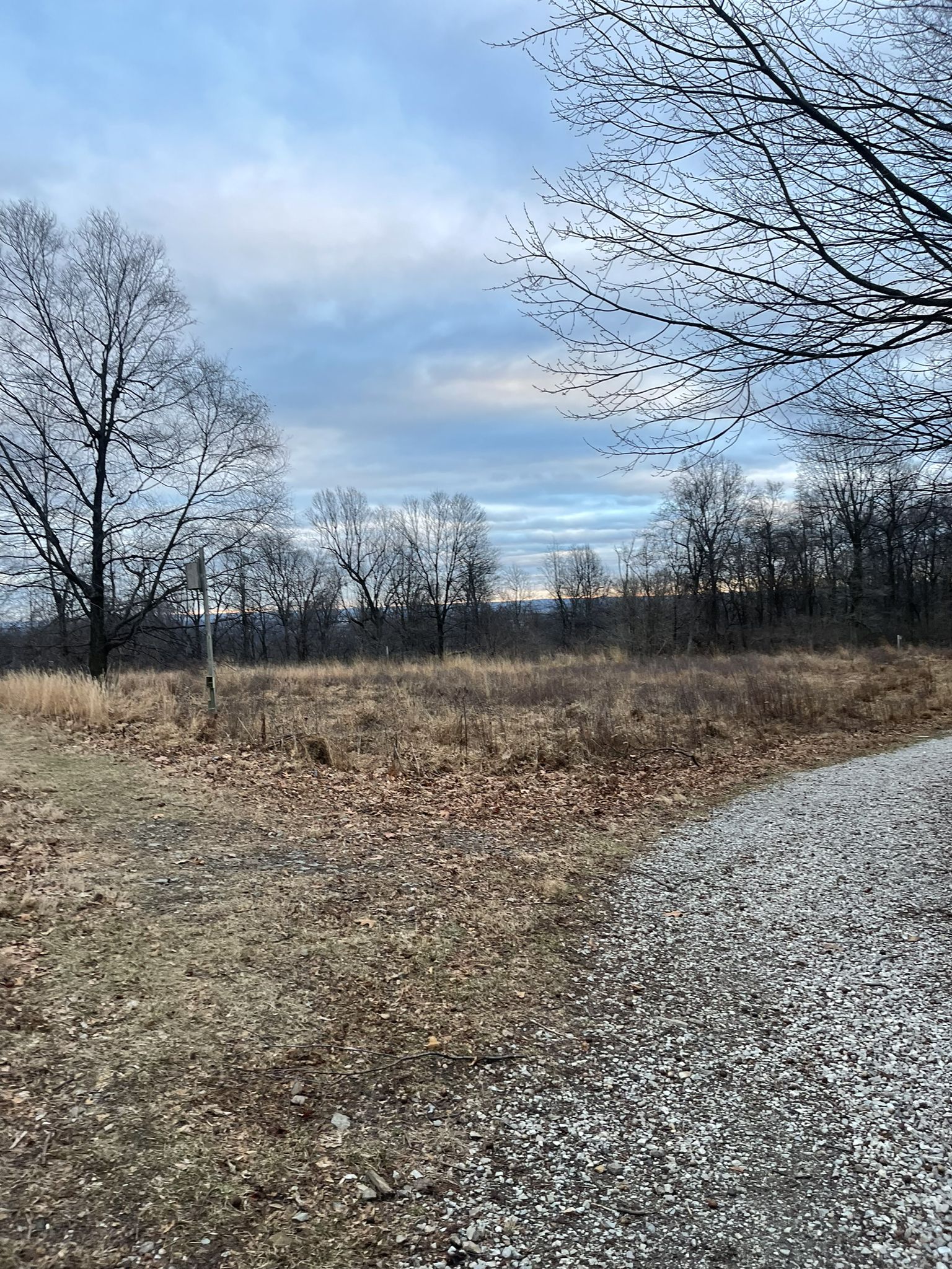 A gravel path next to a dry grassy field with bare trees under a cloudy sky. - Governor Dick Firetower via Horseshoe Trail Loop