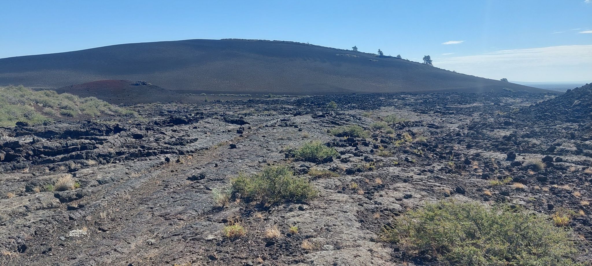 Expansive dark volcanic landscape with sparse green plants under a clear blue sky. - Snow Cone Trail & Spatter Cones Trail
