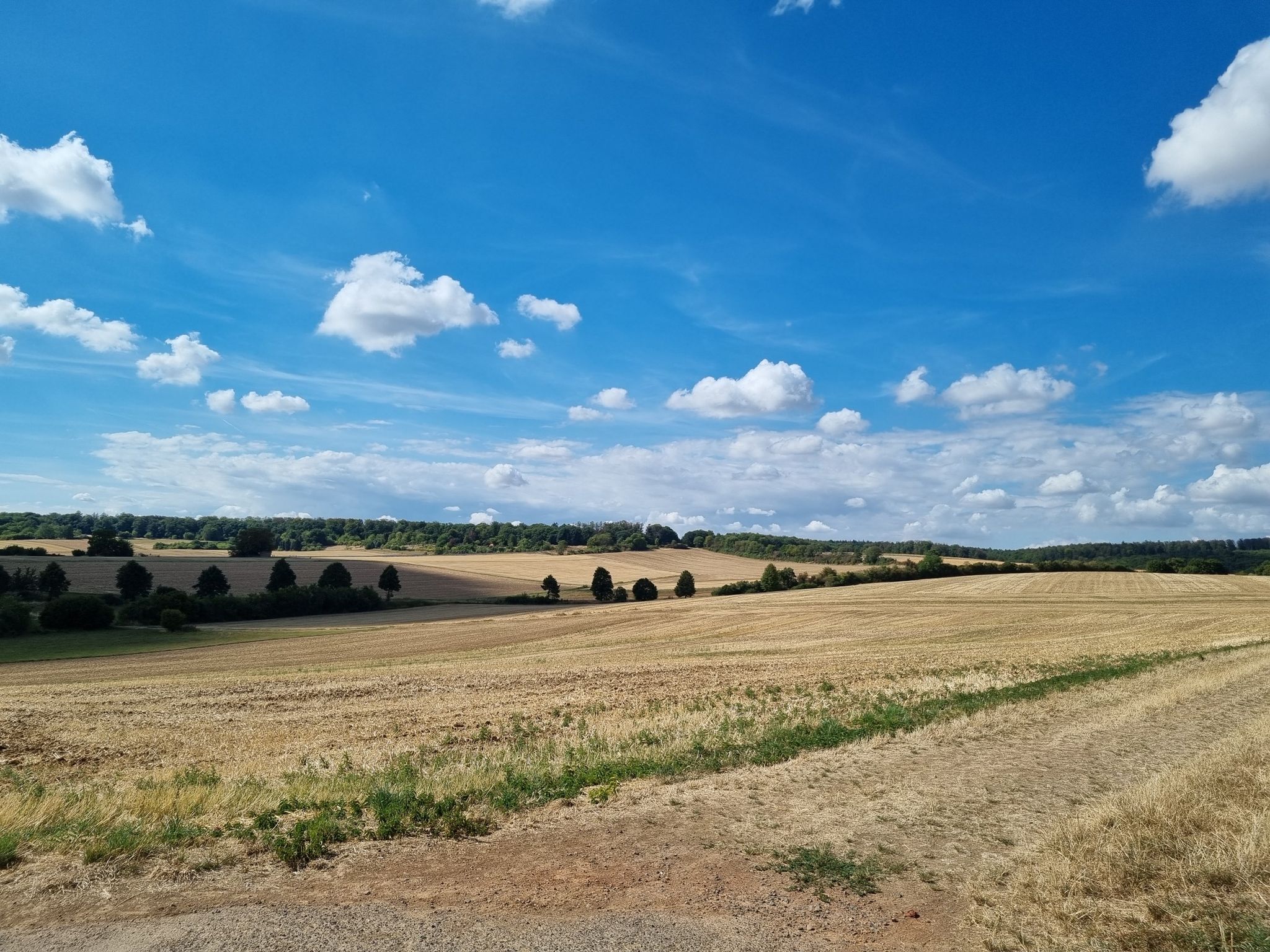 Landschaft1