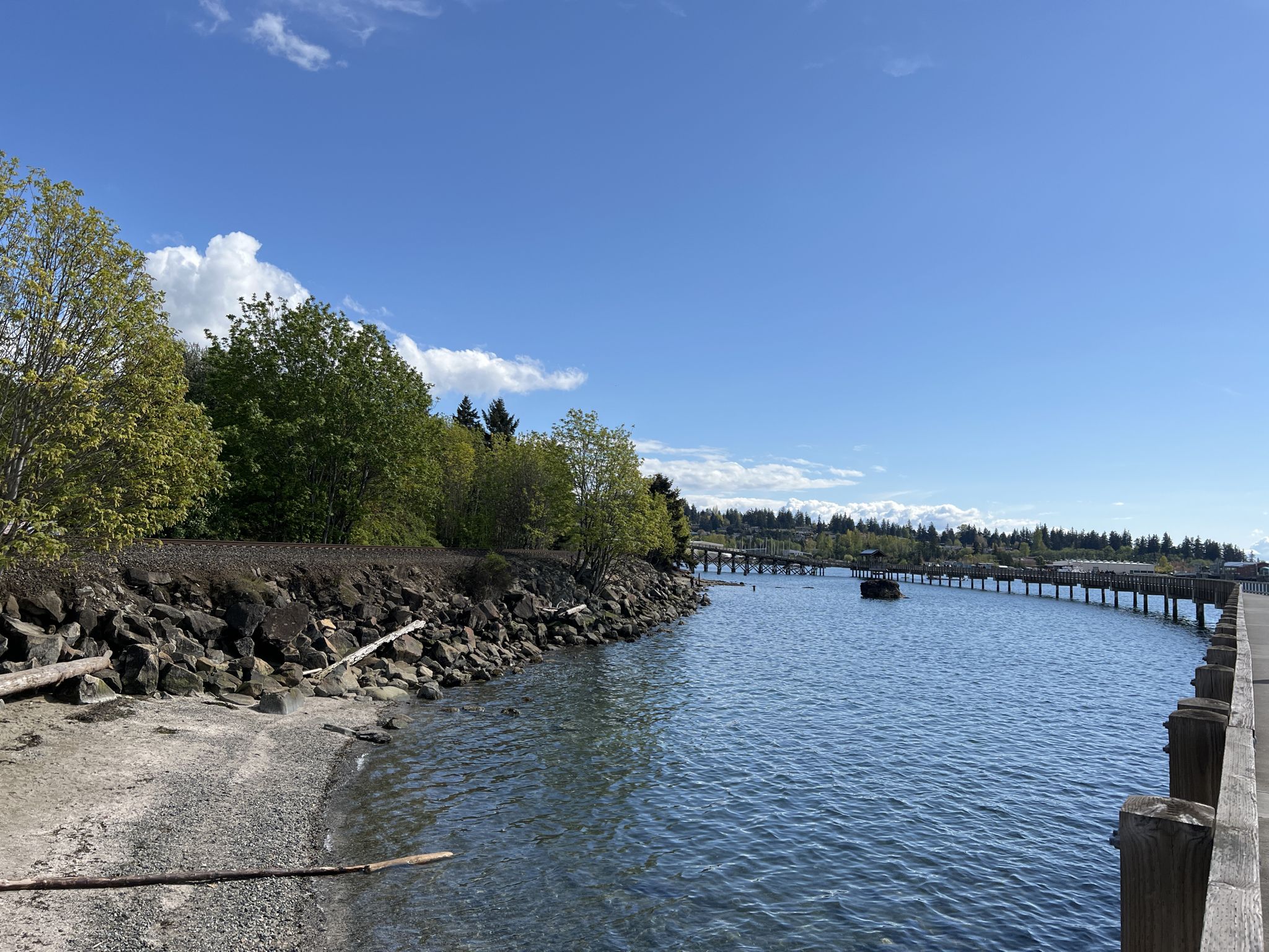 Calm water inlet with a long wooden pier, green trees, and bright blue sky. - South Bay Trail – Boulevard Park loop from Whatcom Community College