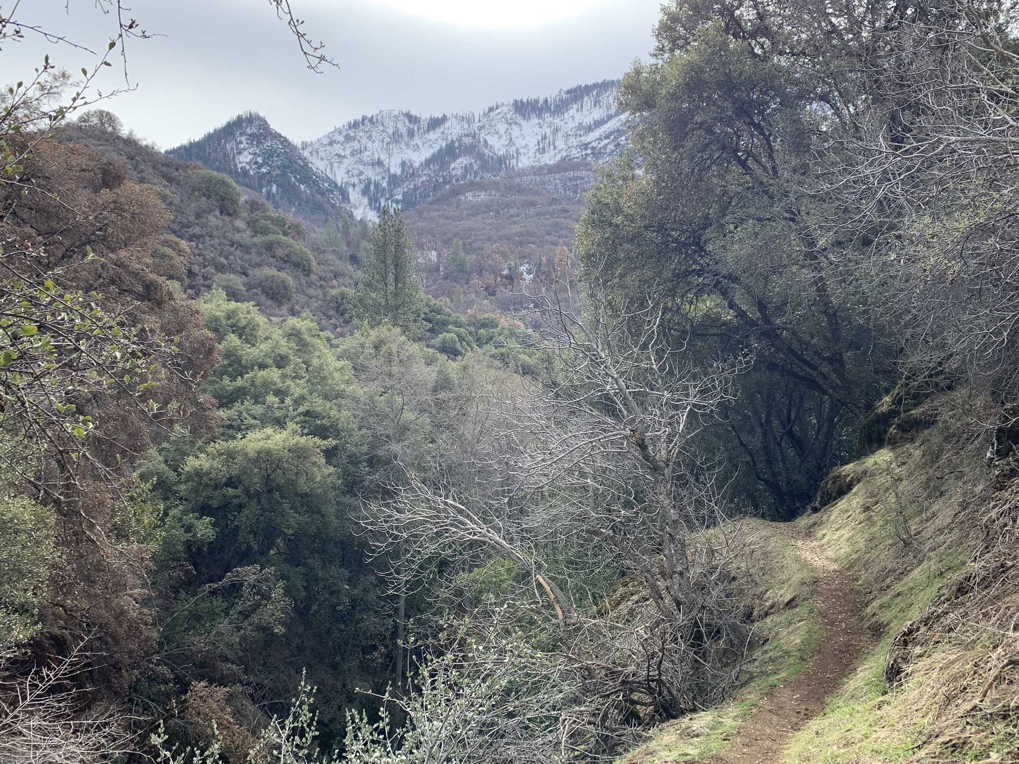 Dirt trail winding through a valley with snow-capped mountains under an overcast sky. - Ladybug Trail