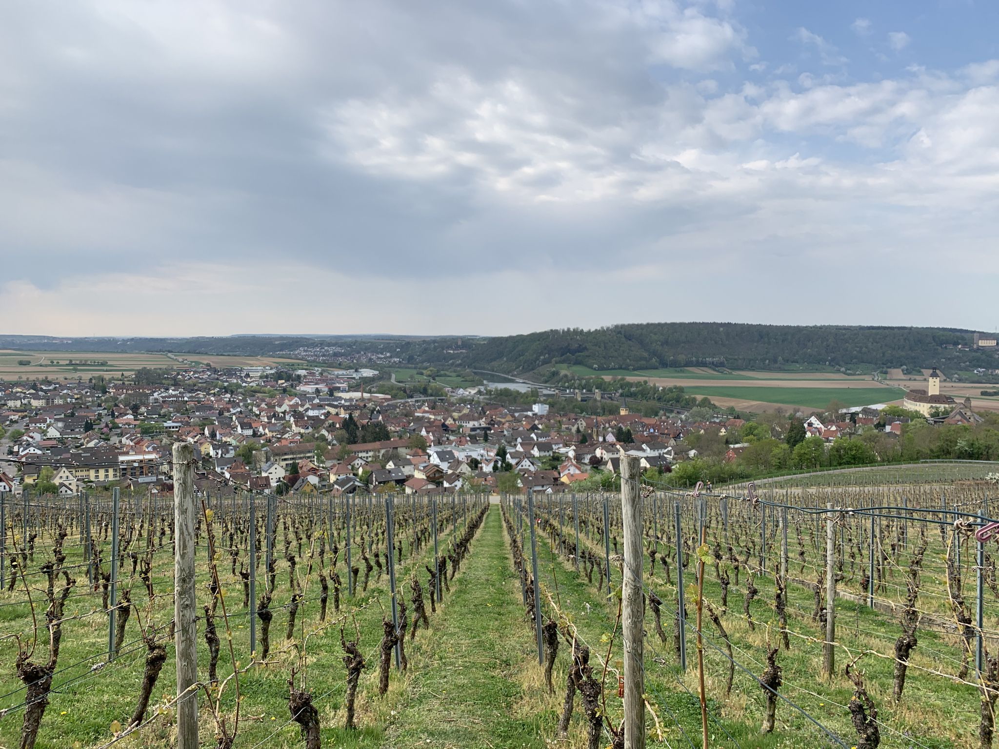 Gundelsheim Himmelreich 