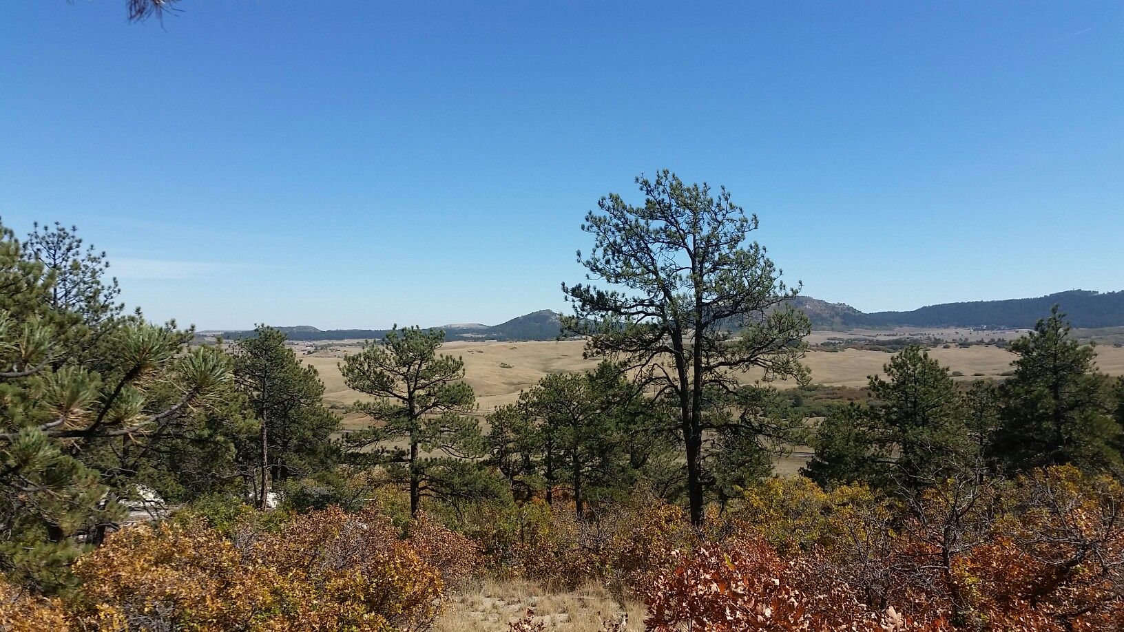 Pine trees and autumn shrubs overlook a vast, sunny field and distant hills. - Eagle Pass, Oak Shortcut and Spruce Mountain Trail Short Loop