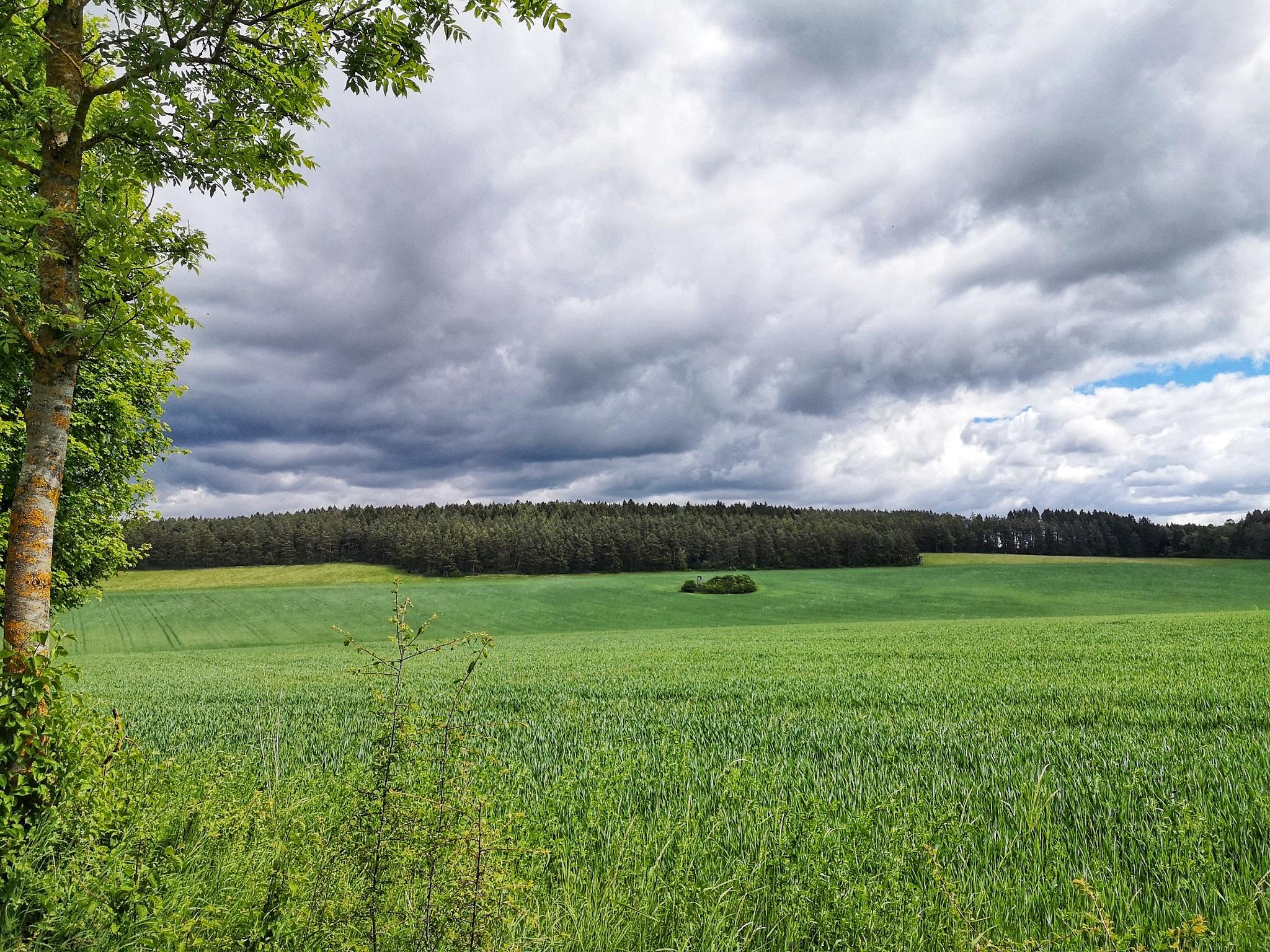 Aktivitäten rund um Belrieth