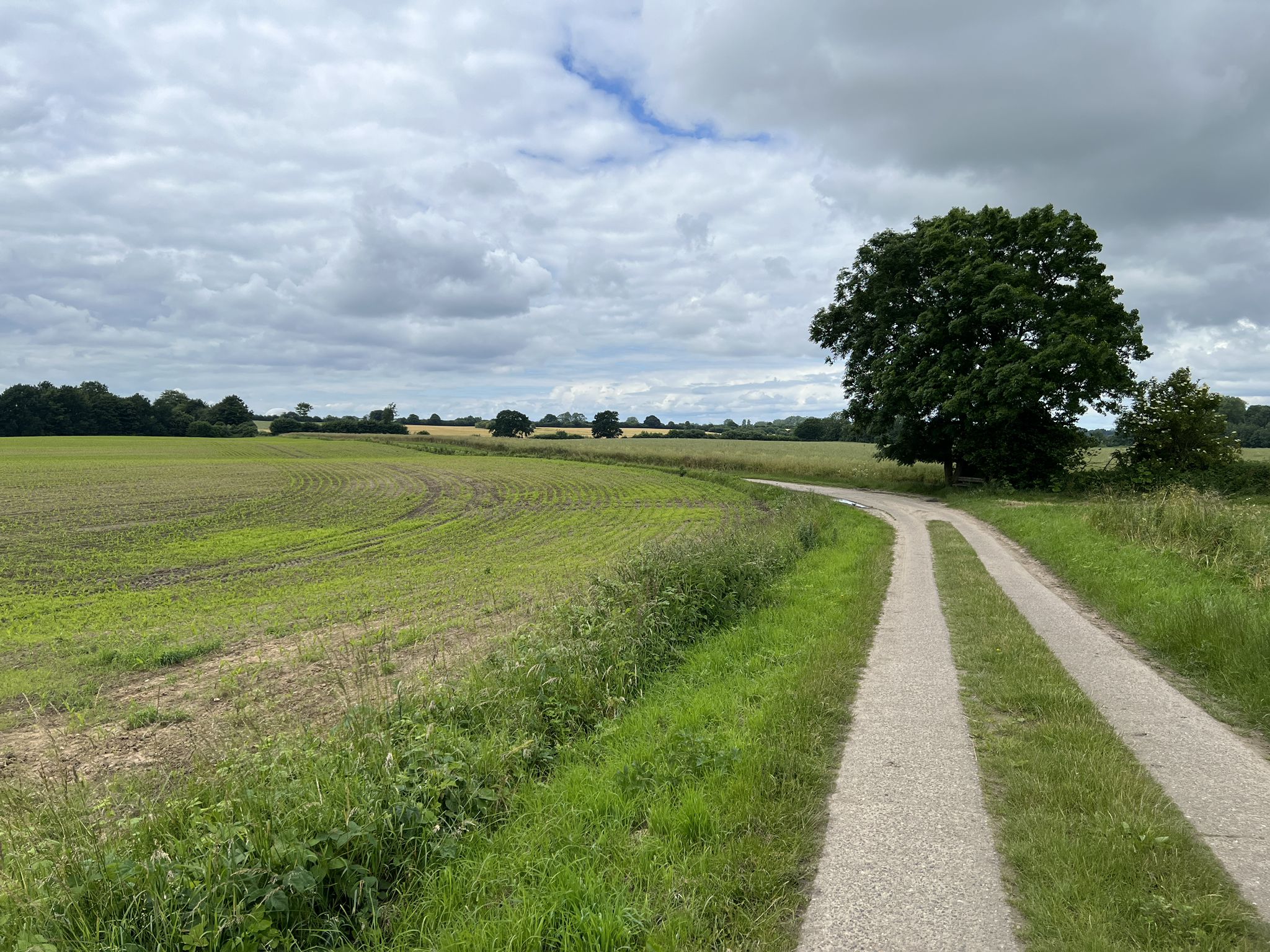 Landweg durch die Natur