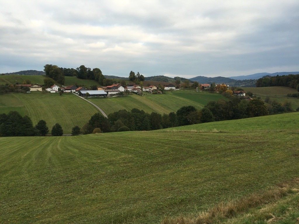 Blick auf Nebling