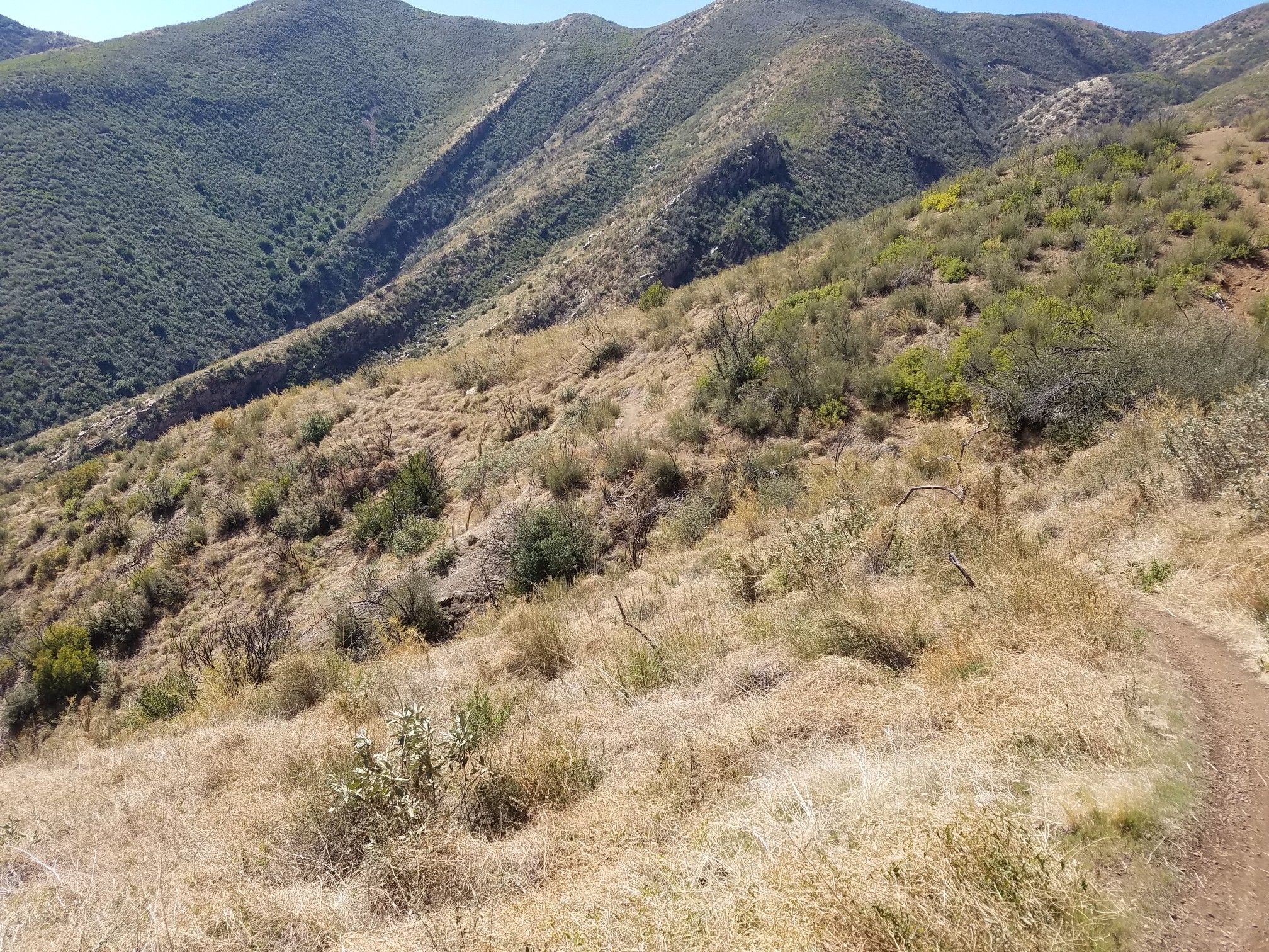 Dry, grassy hillside with a dirt path winding through green mountains. - Gridley and Pratt Trail Loop