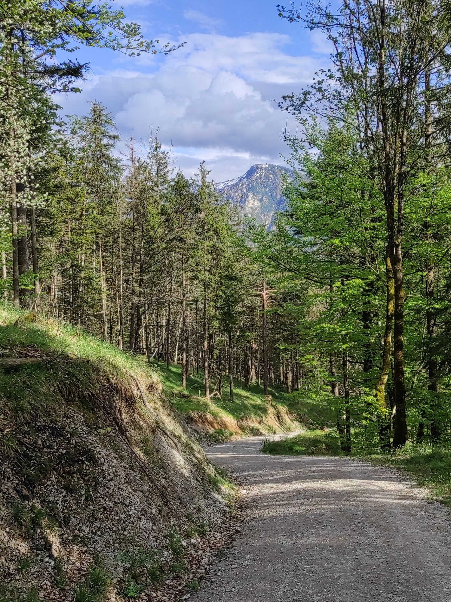 Blick auf den Predigtstuhl!