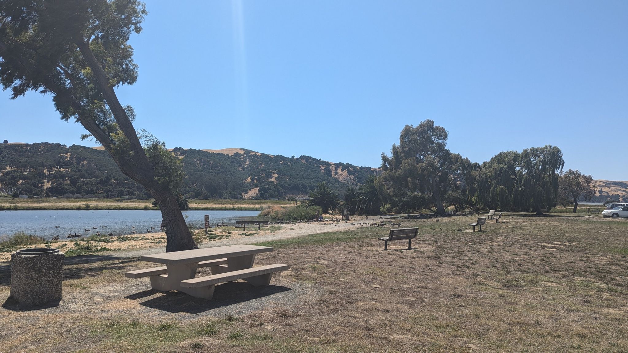 Picnic table and benches by a lake with hills under a bright sky. - Martinez Pier – Martinez Regional Shoreline loop from Martinez