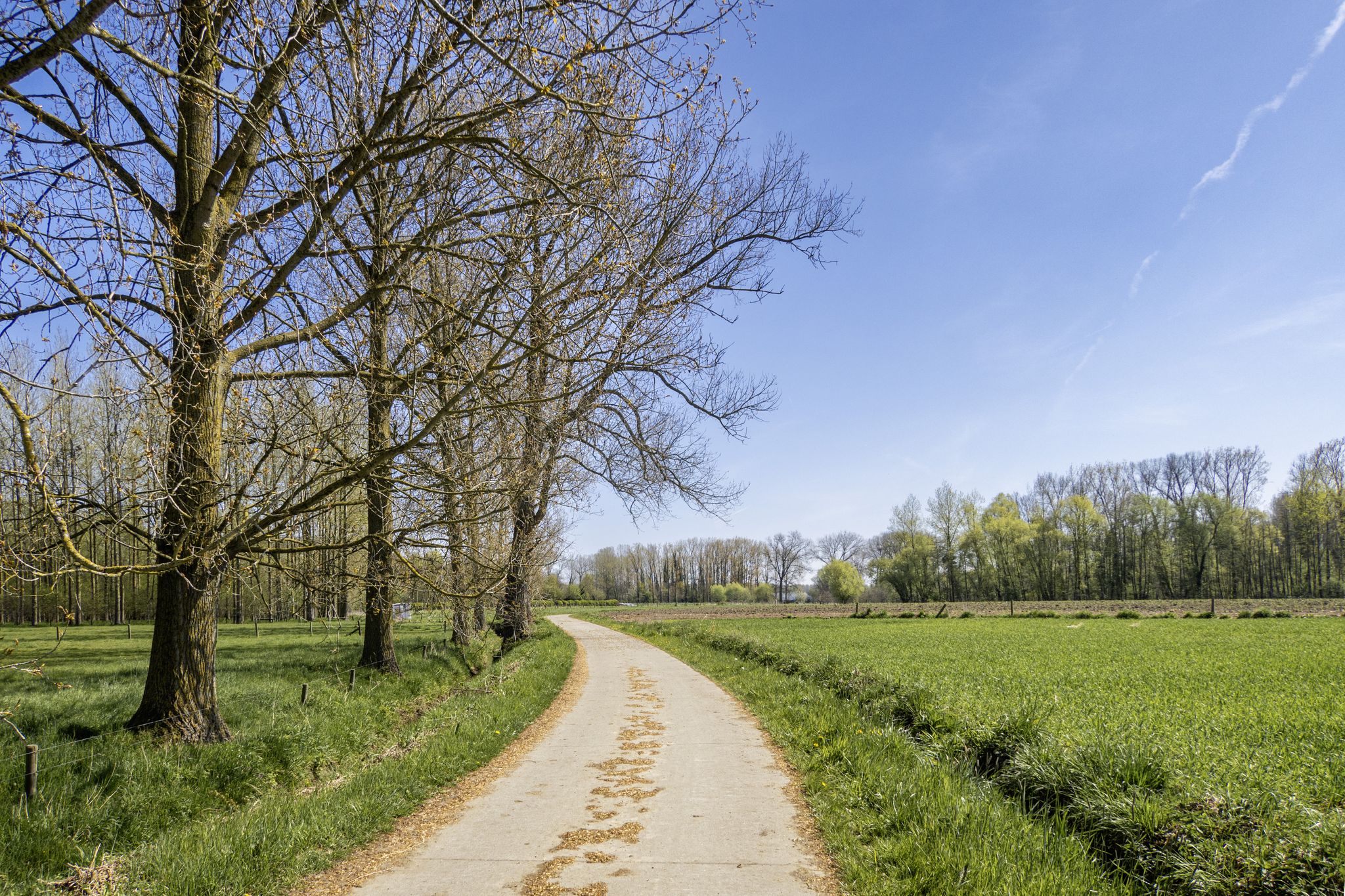 Via de autovrije Muntstraat naar Gijzegem
