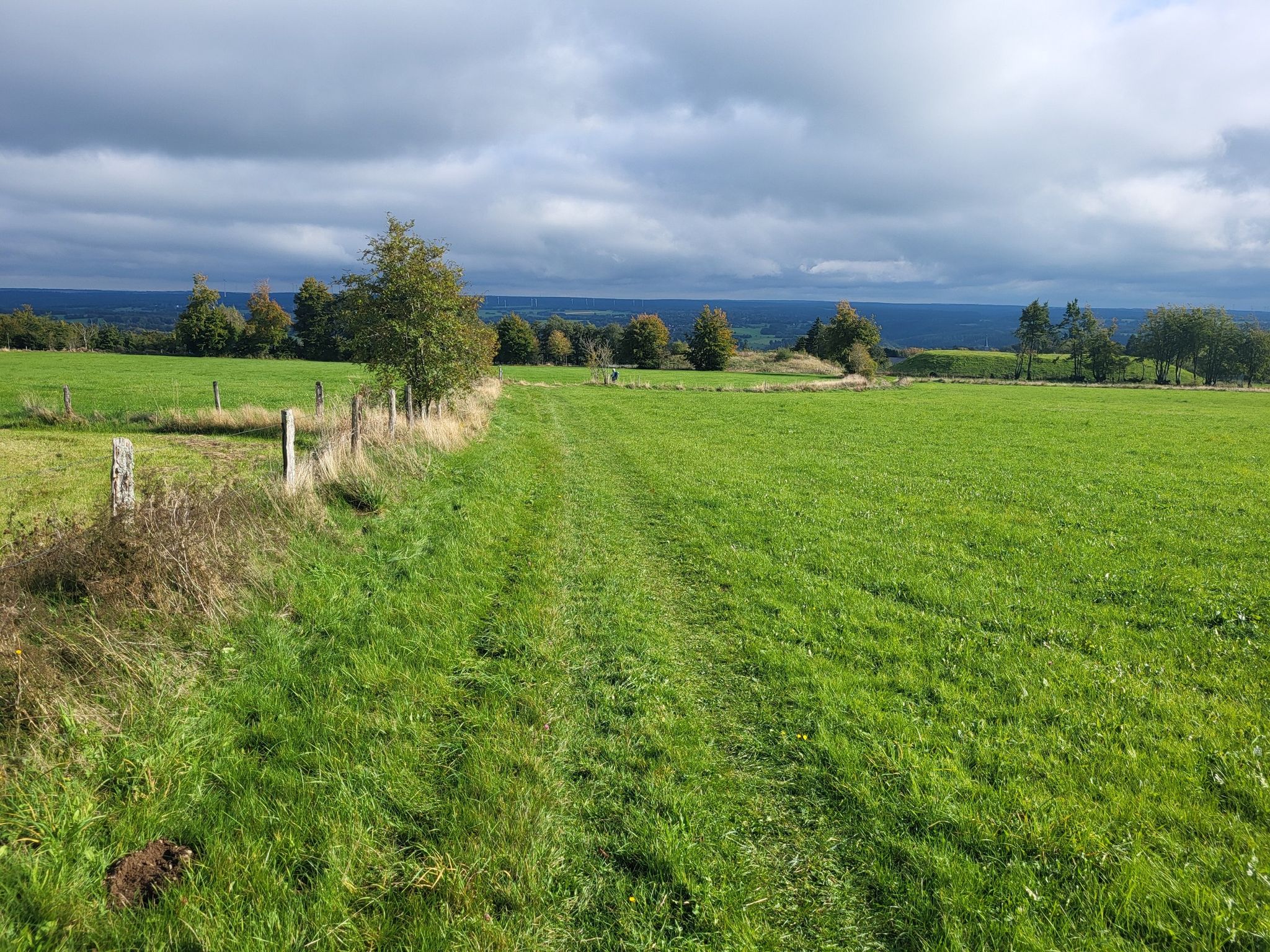 prachtige weidewandelingen