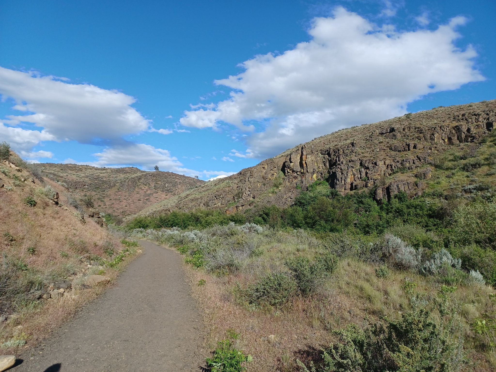 Dirt path winding through arid, rocky hills under a bright, cloudy sky. - Cowiche Canyon Conservancy loop from Cowiche Canyon East Trailhead