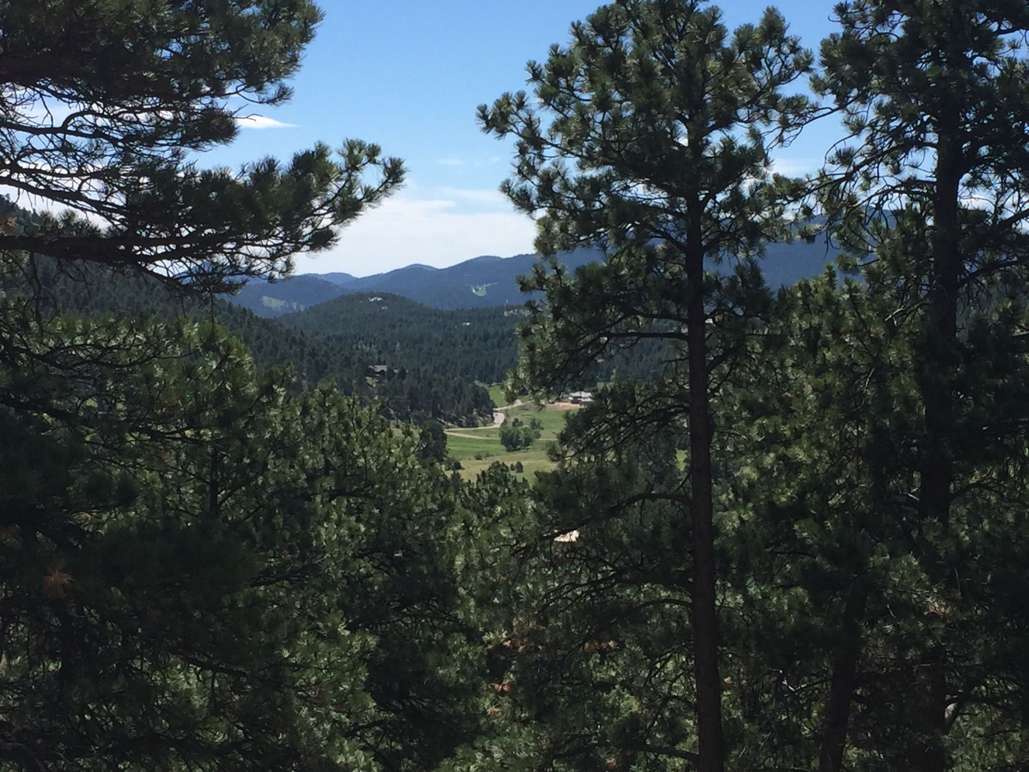 View through pine trees of a green valley and distant mountains. - Evergreen Lake loop from Evergreen