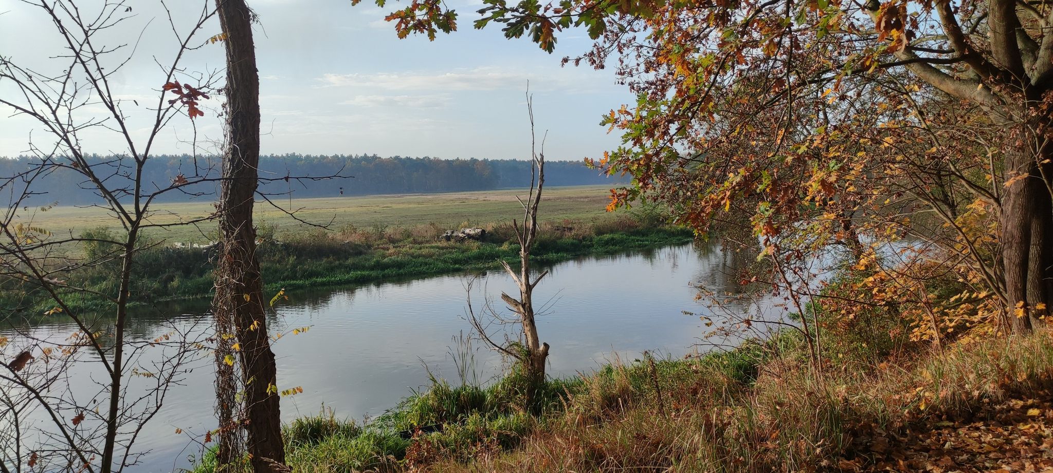 die Müggelspree bei Hangelsberg