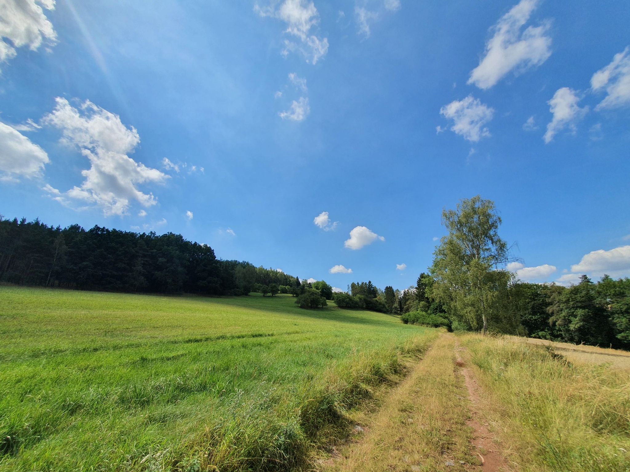 schöner Feldweg