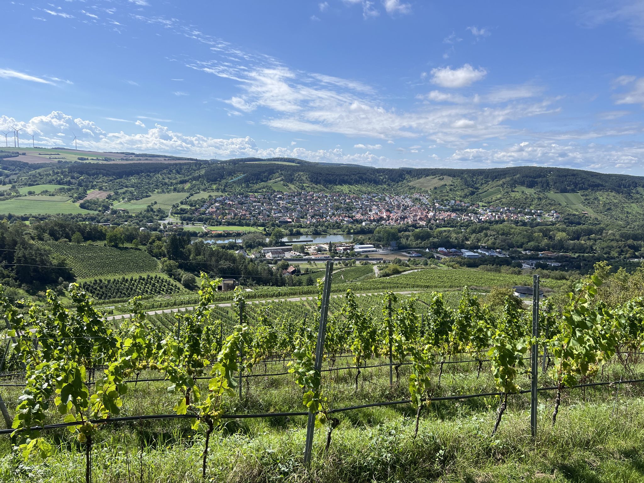 Maintalblick