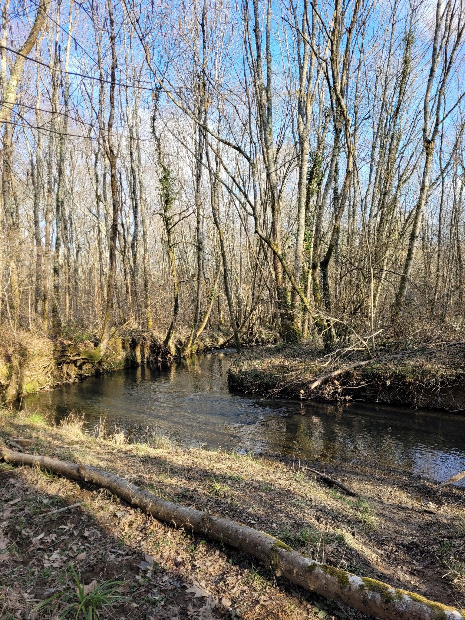 Le Souy.