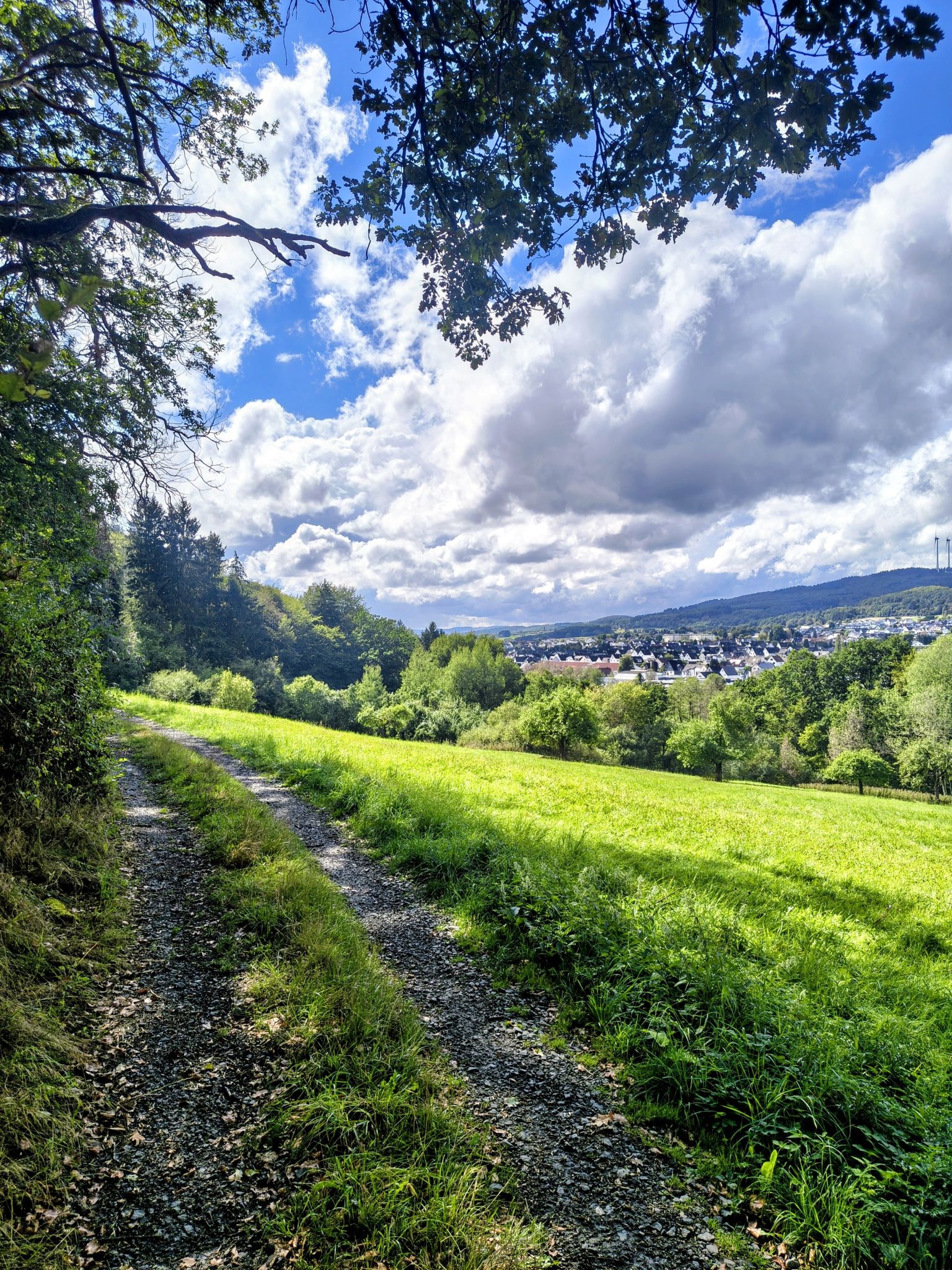 Blick auf Frohnhausen