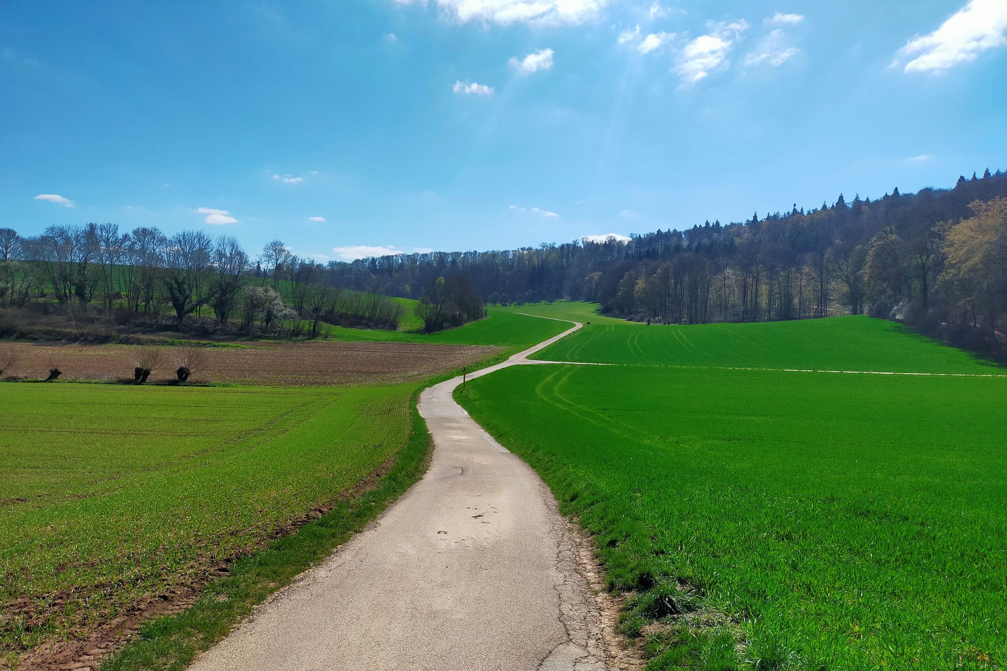 Durchs Brachbergtal nach Bietigheim