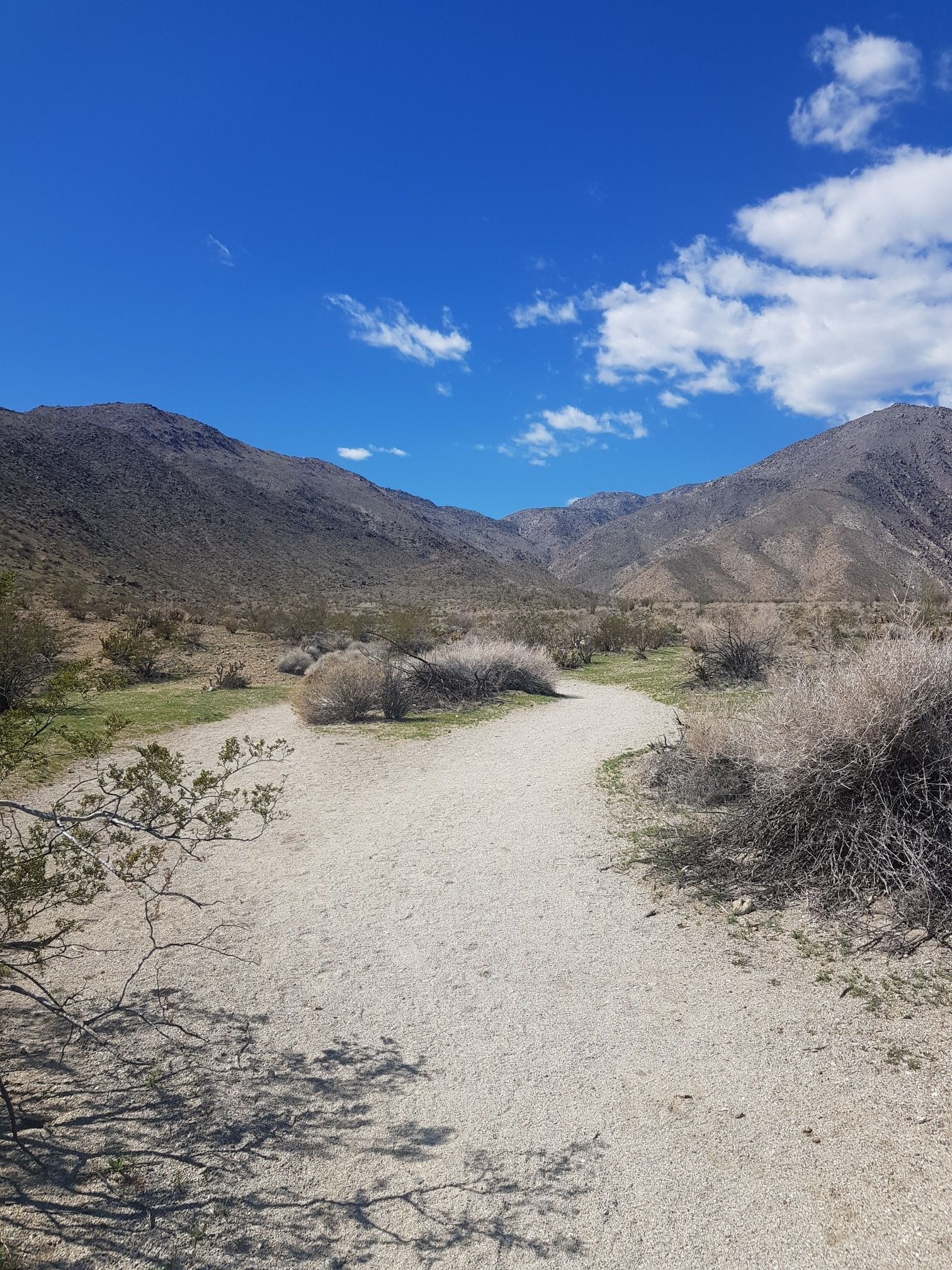 Sandy desert path winding through a valley with distant mountains. - Hellhole Canyon Trail