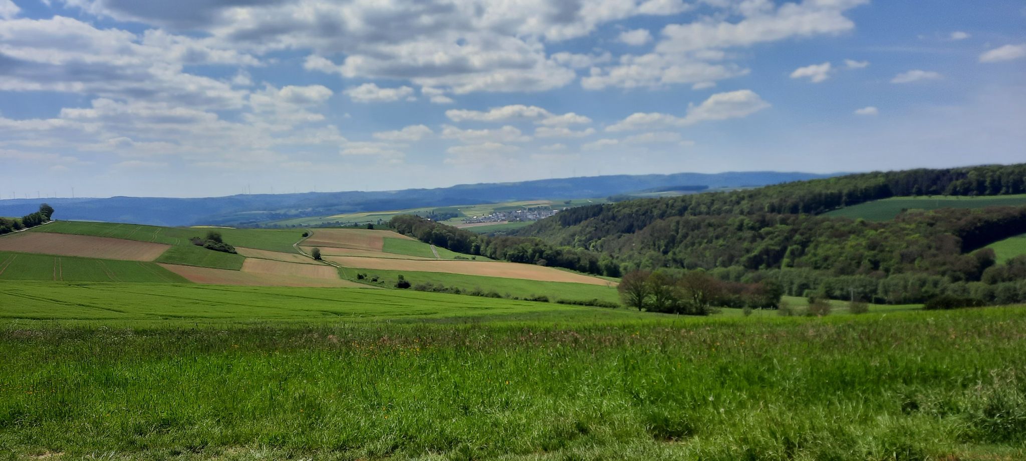 Blick auf Nochern