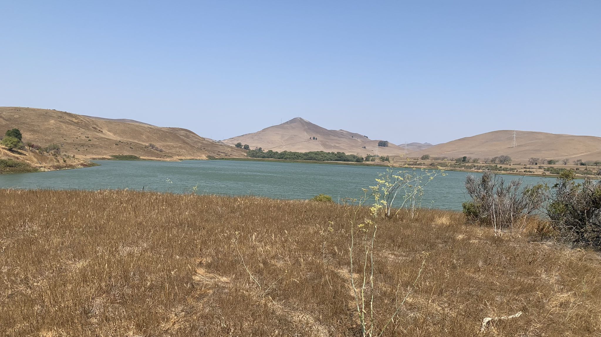 A calm lake surrounded by dry, rolling hills under a clear sky. - Lake Herman to Benicia Community Park Loop