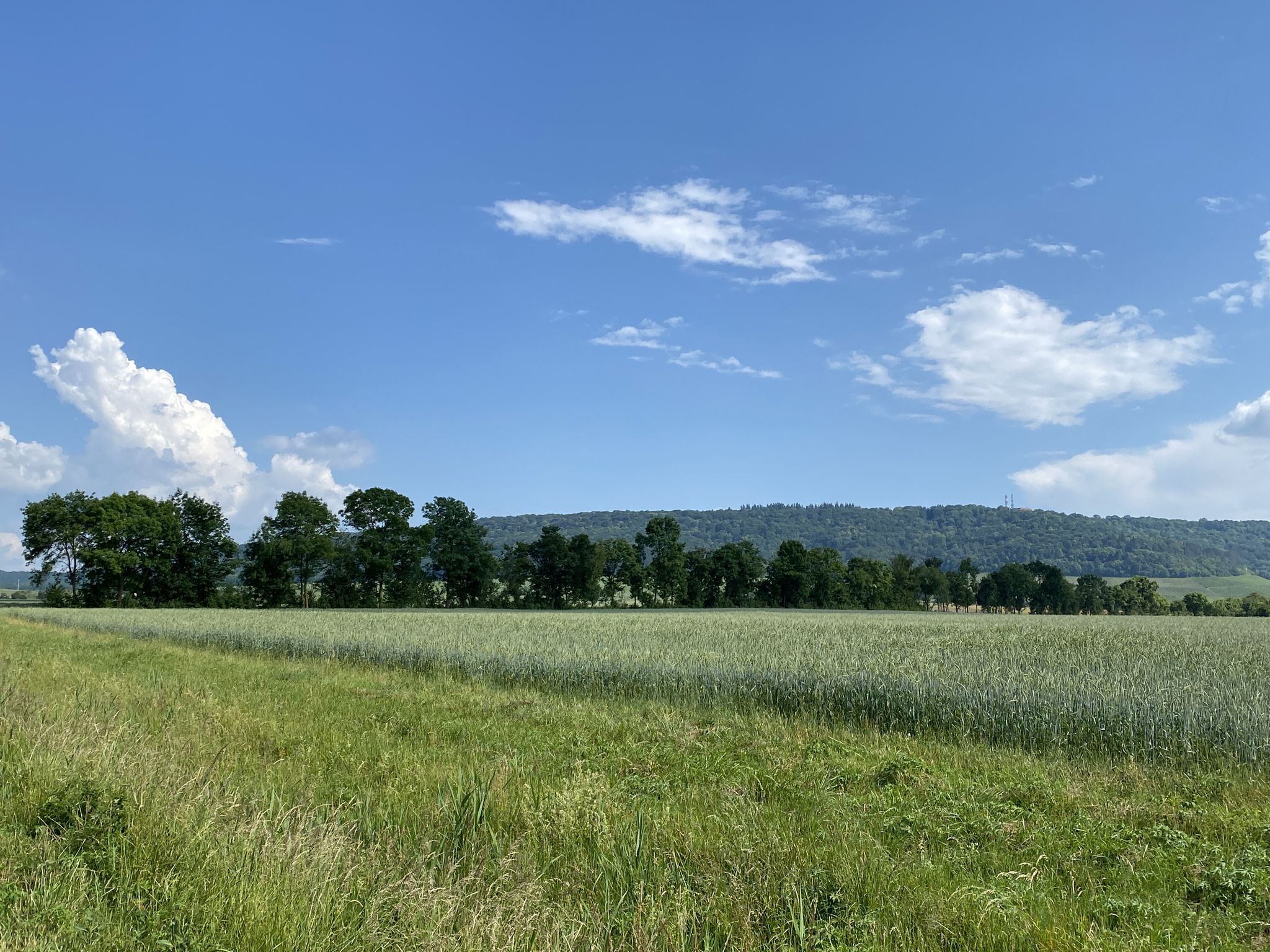 Blick zurück zum Schwanberg