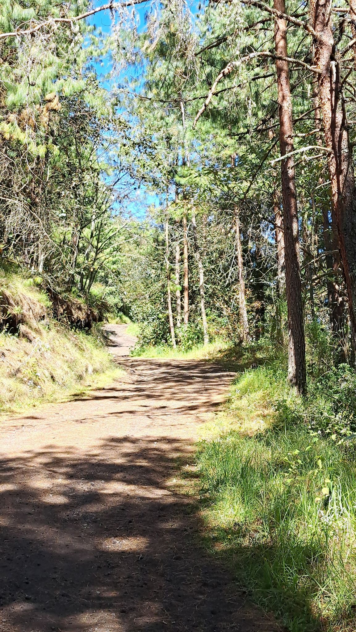 sigue el sendero
