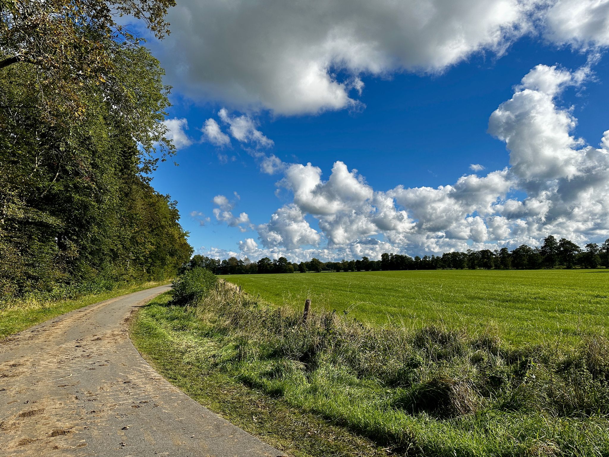 Neuer Meedenweg