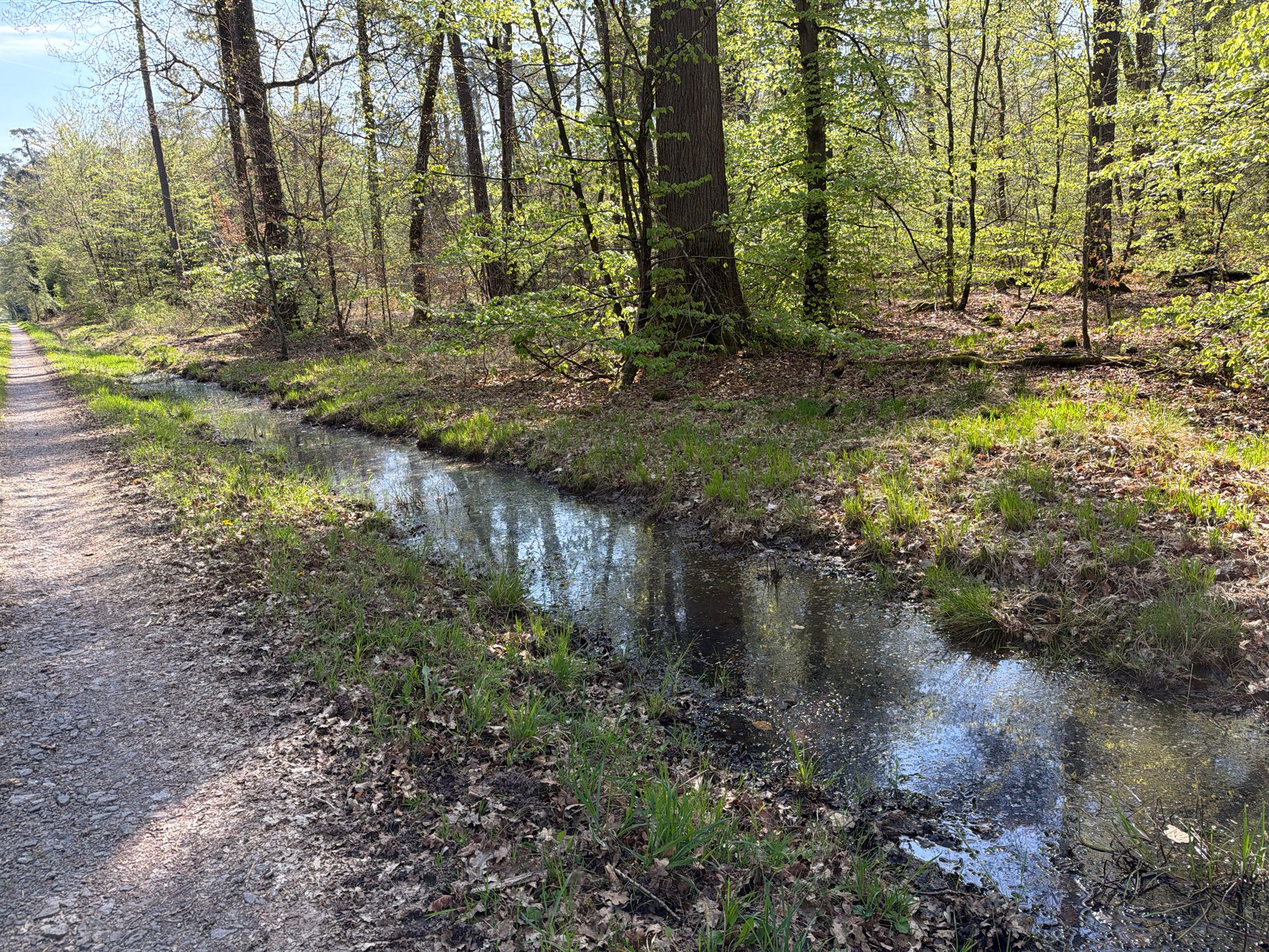 immer wieder an langen stehenden (!) Wassergräben entlang (Stechmücken!)