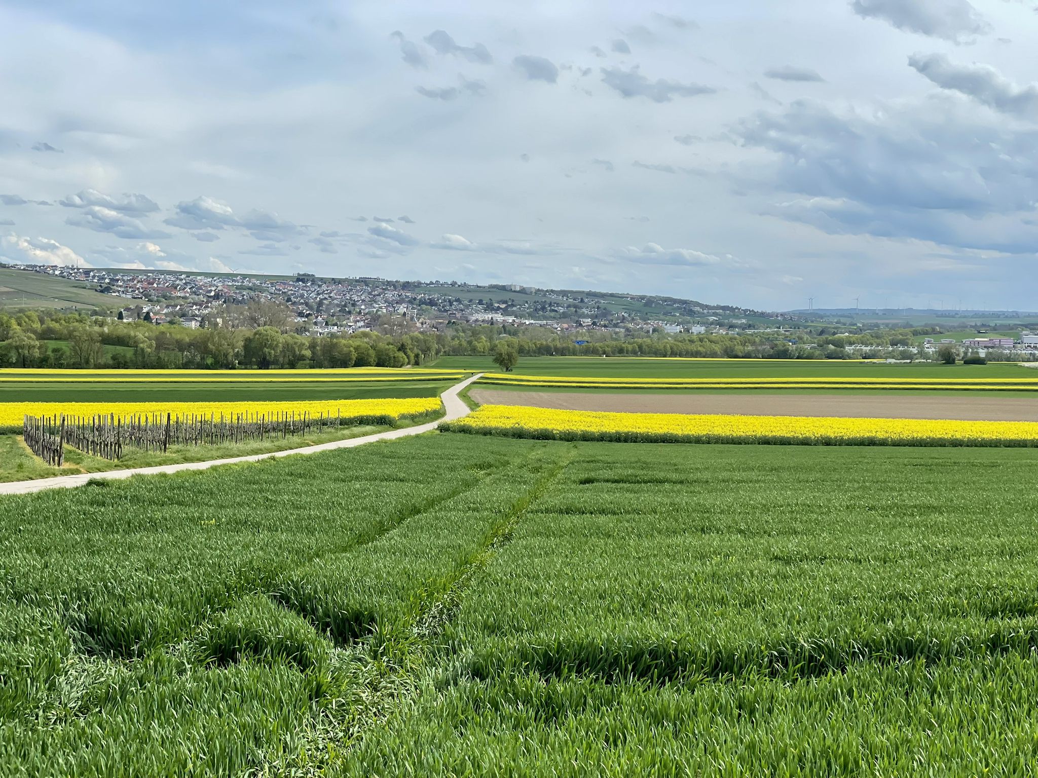 Blick auf Nieder-Olm