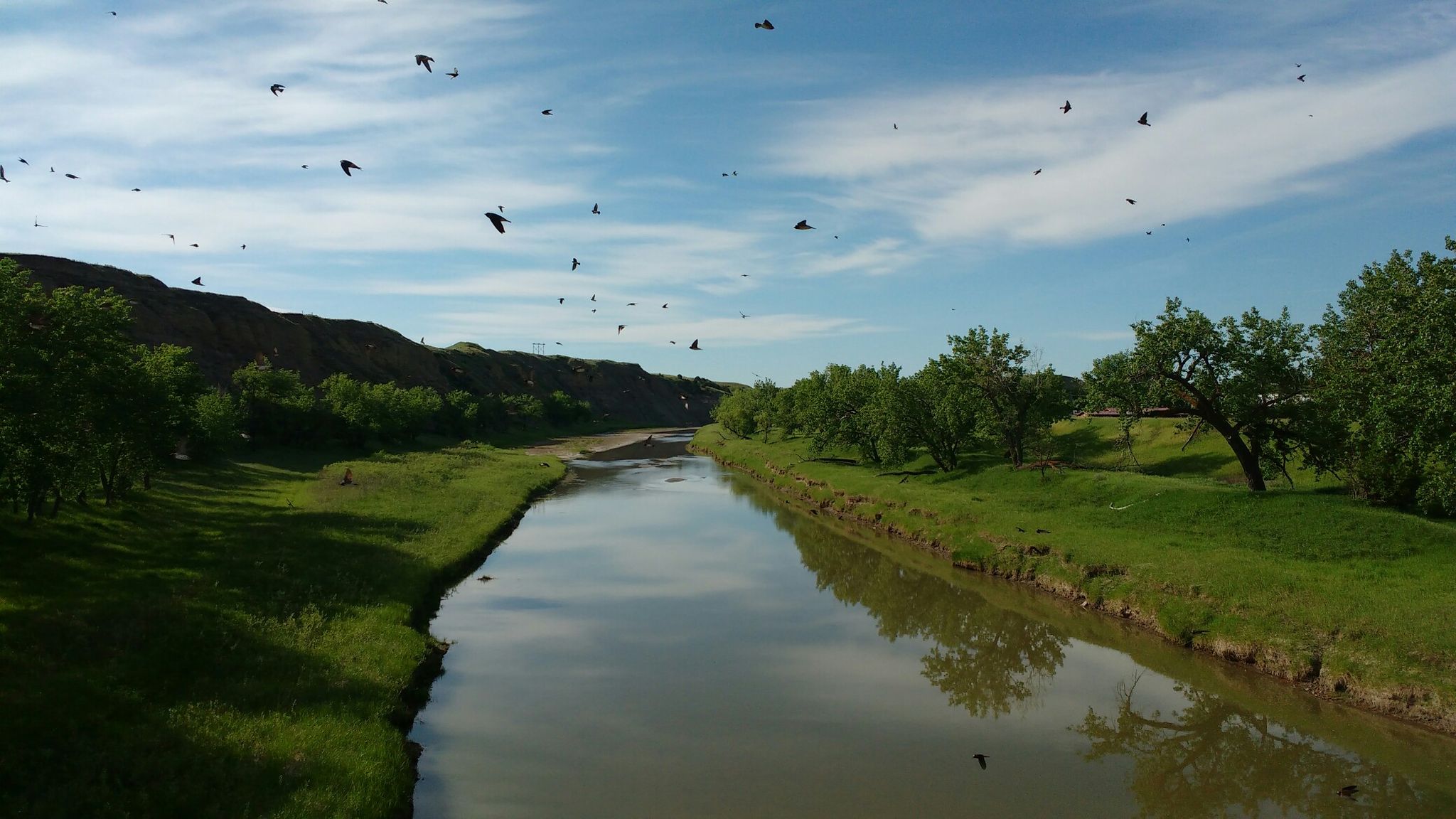 A winding river with green banks, trees, and many birds flying under a bright sky. - United States Bicycle Route 30 (North Dakota)