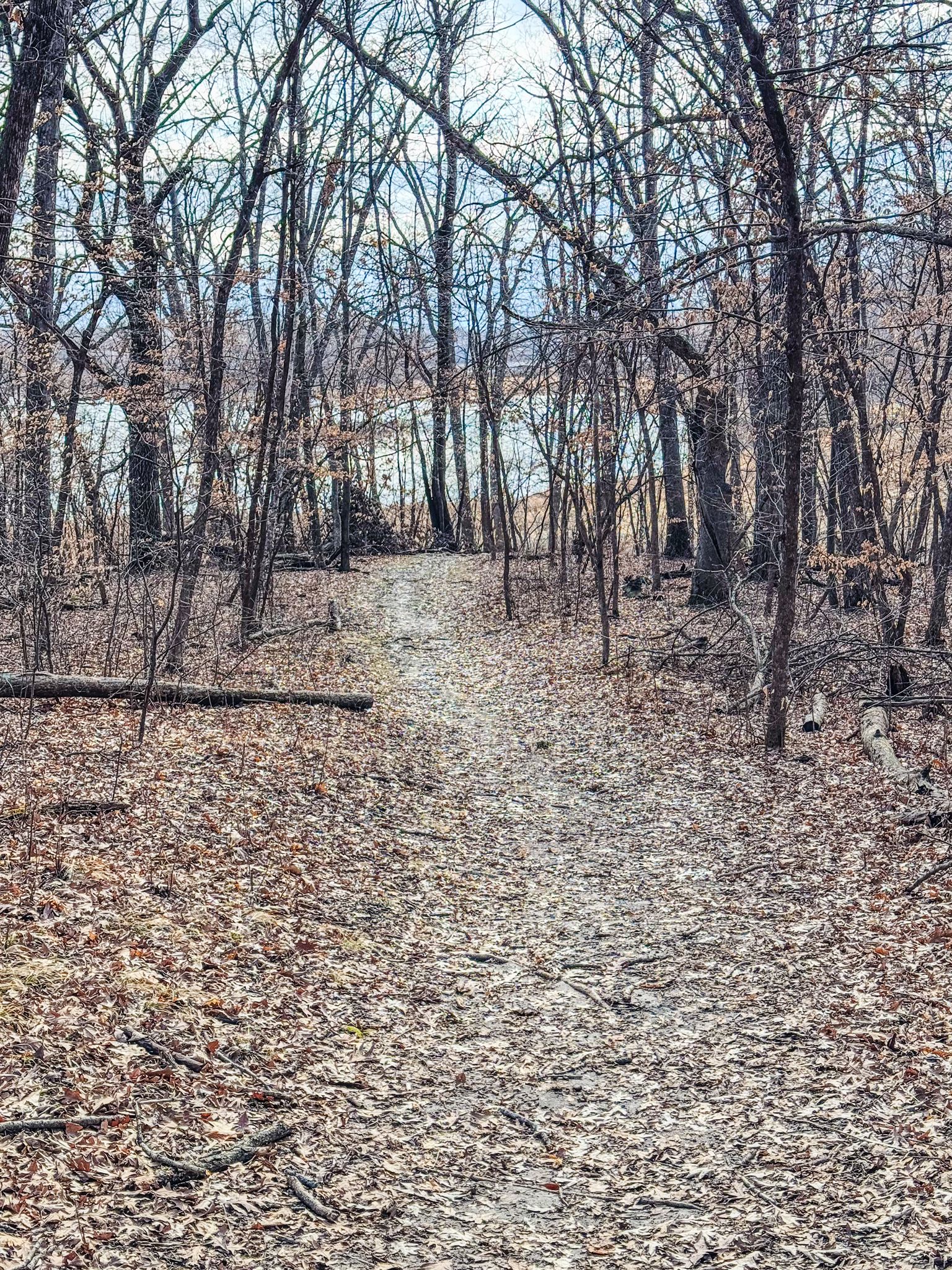 Trail view