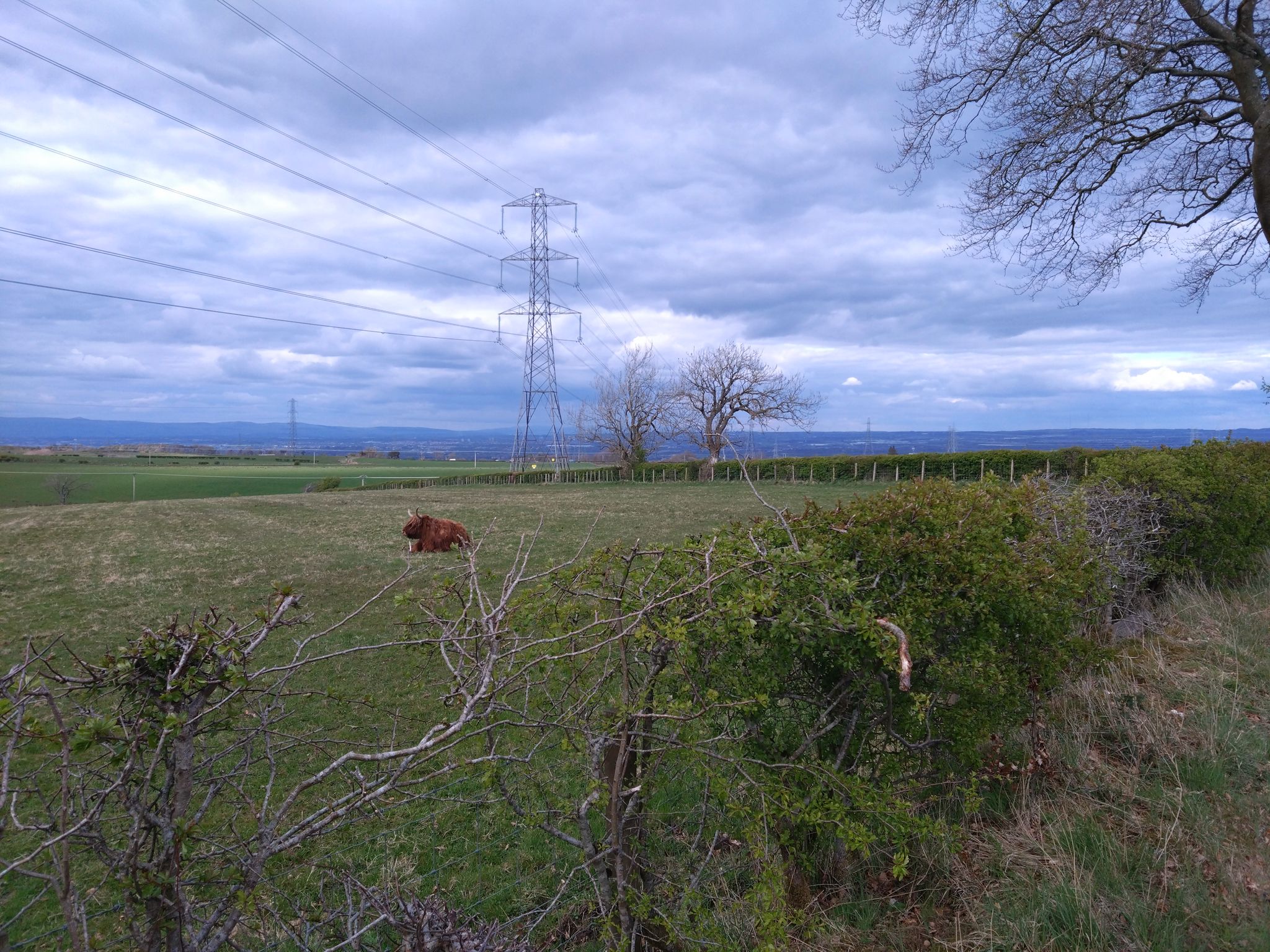 Ominous looking sky but stayed dry and sun was out when I got back to Hamilton