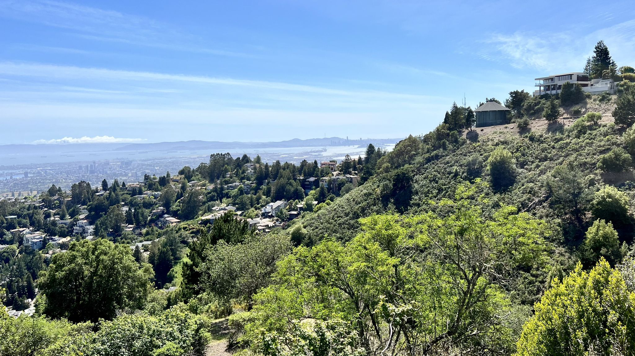 Panoramic view of a city and distant water from a green, tree-covered hillside. - Grizzly Peak and Tunnel Road Cycling Route