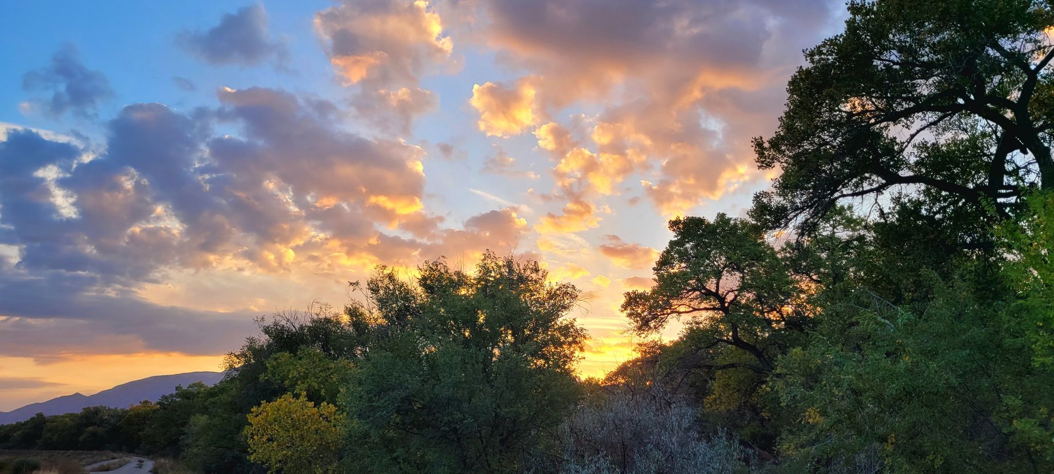 Vibrant orange and pink sunset clouds over green trees and distant mountains. - Rio Grande Forest loop from Cibola High School