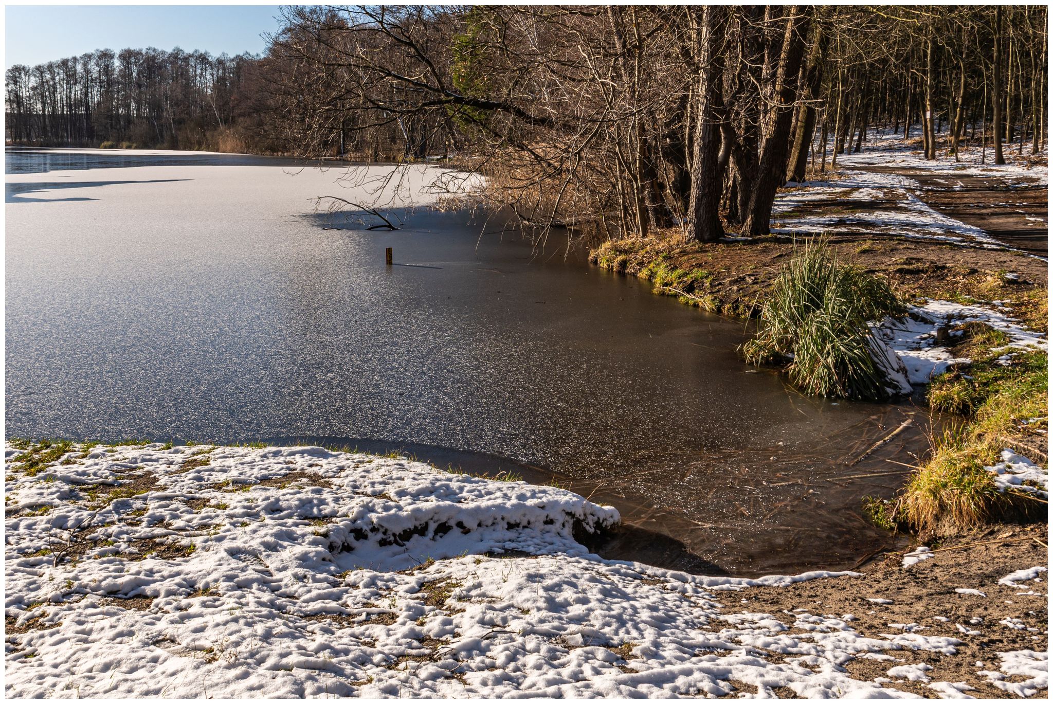Hundestrand Zesch am See