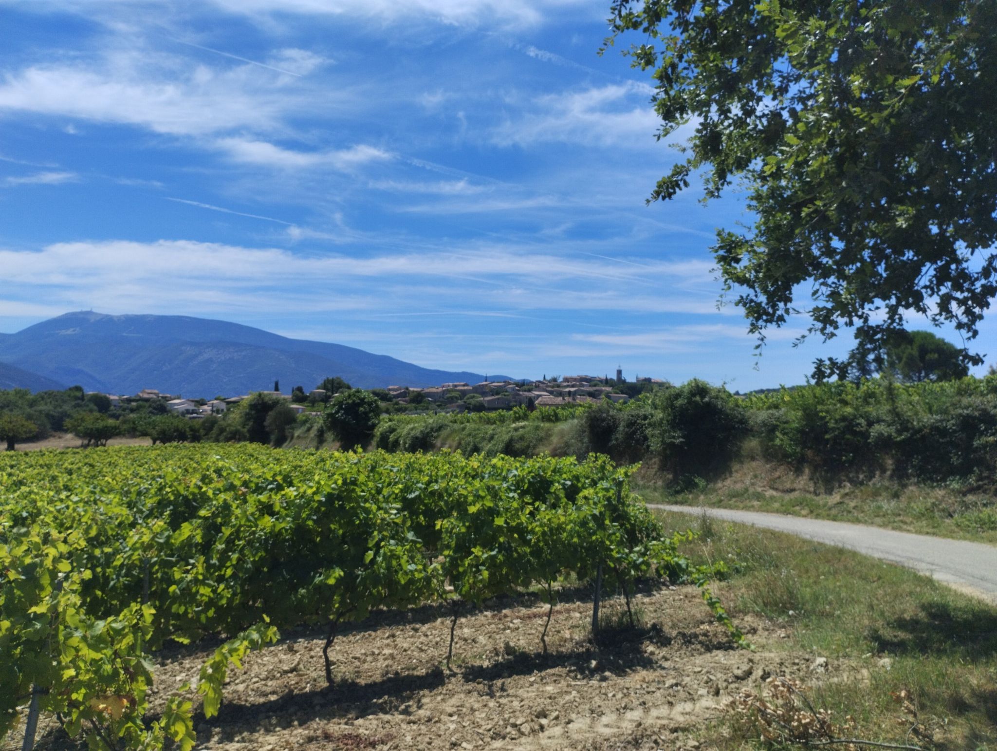 Village de Faucon