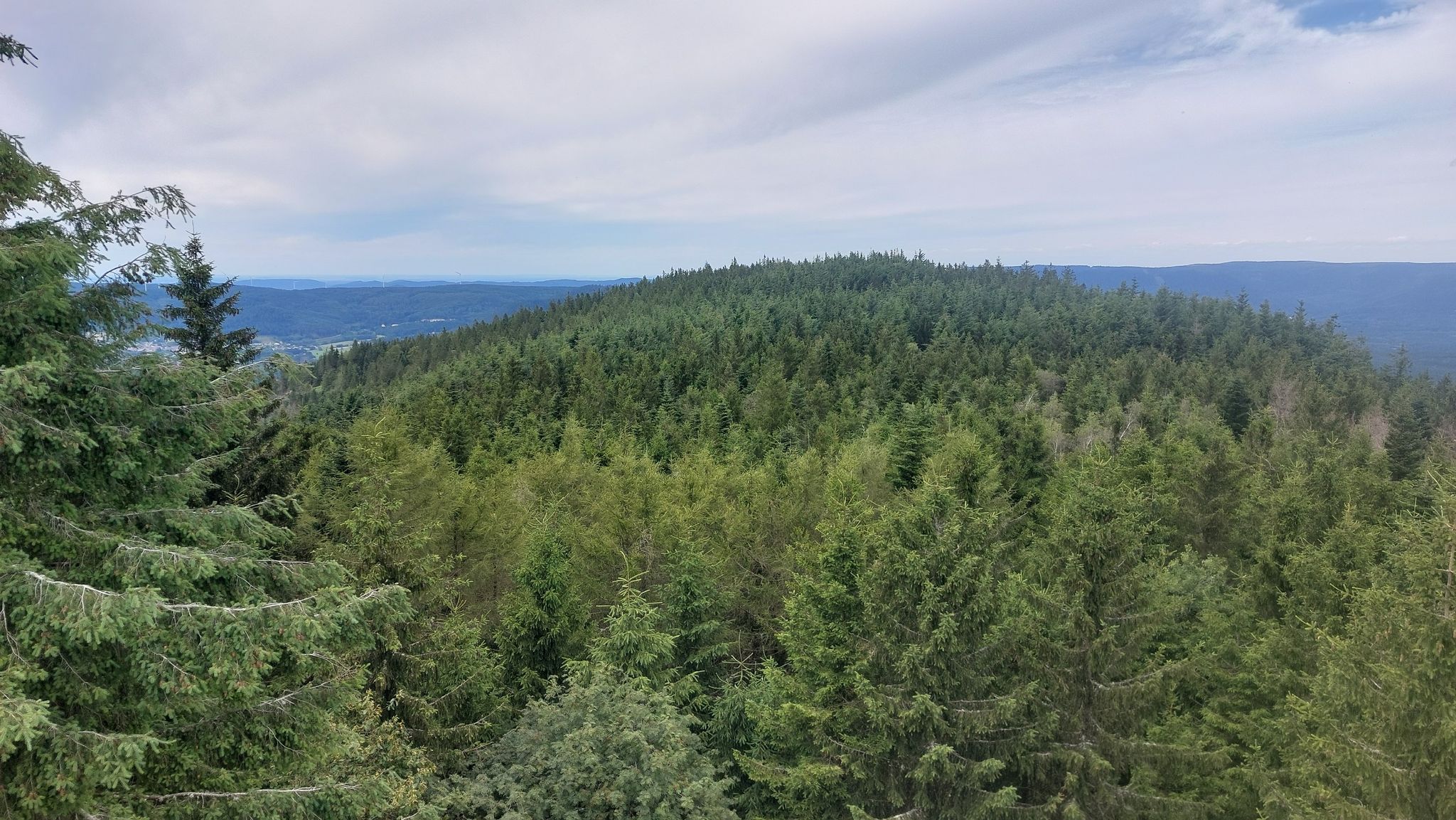 Der Gipfel des Mont Climont