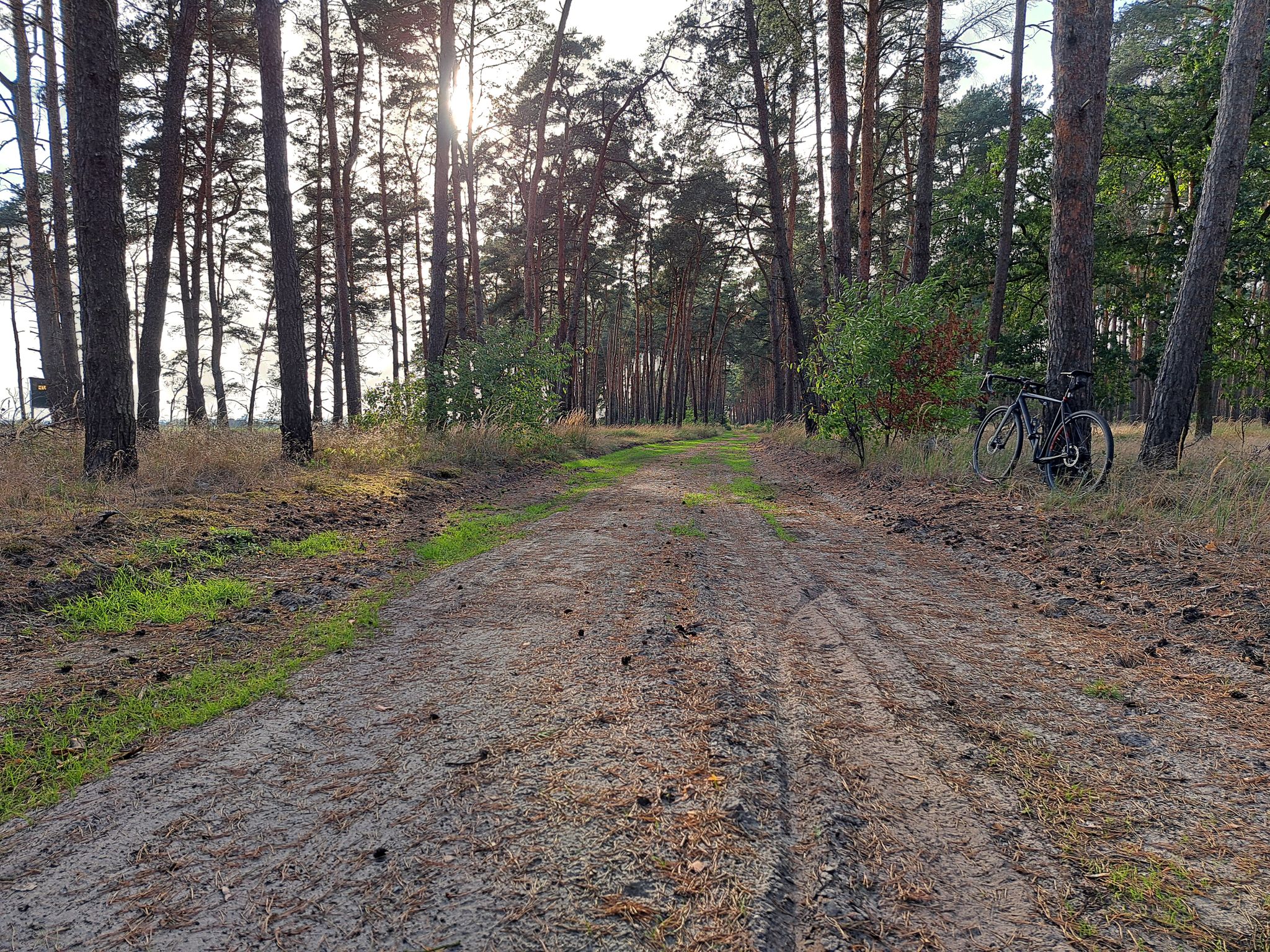 Lindhorster Waldpisten, wir atmen tief durch