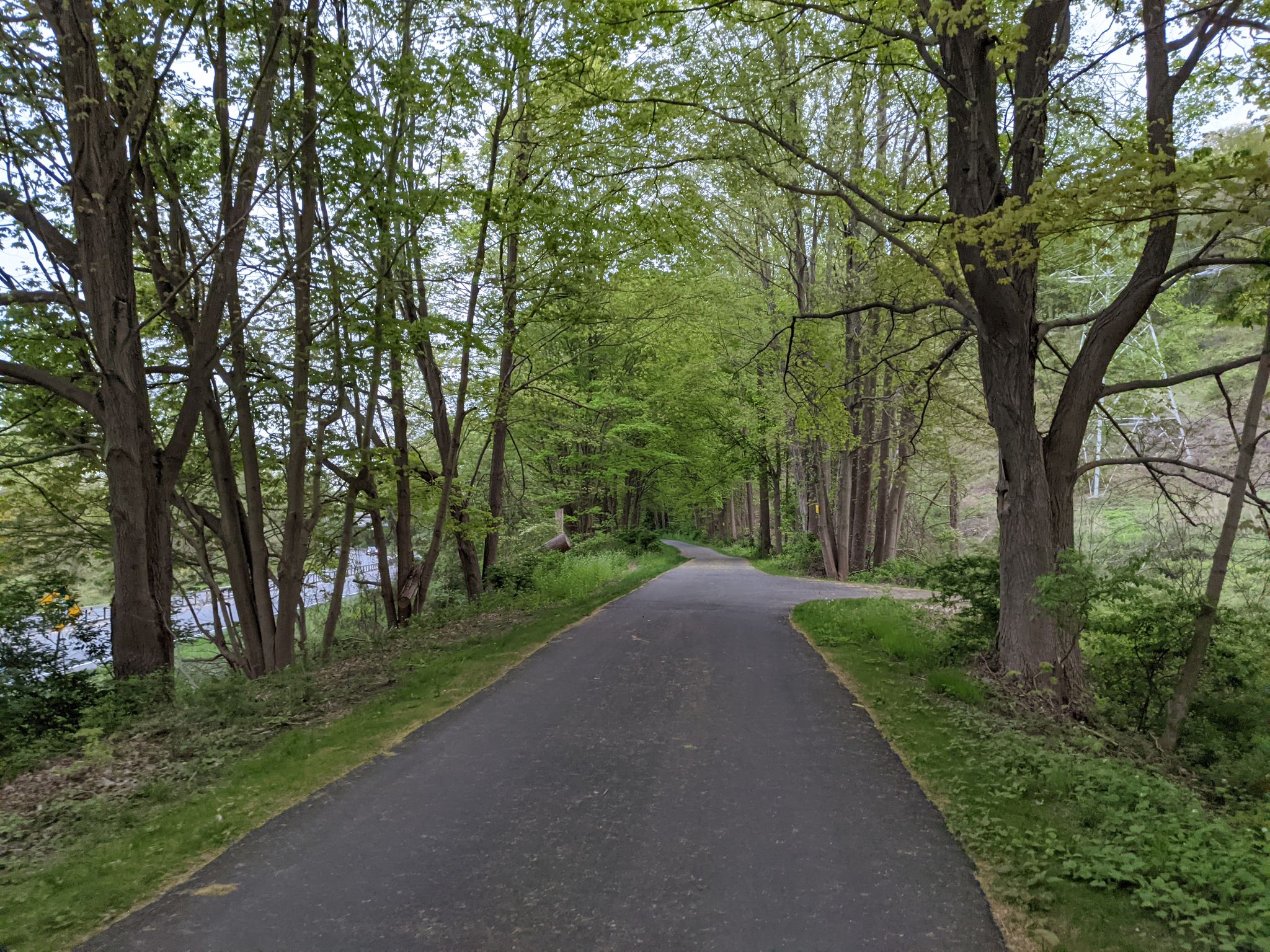 A paved path curves through a vibrant green forest on a bright day. - North County Trailway loop from Village of Briarcliff Manor