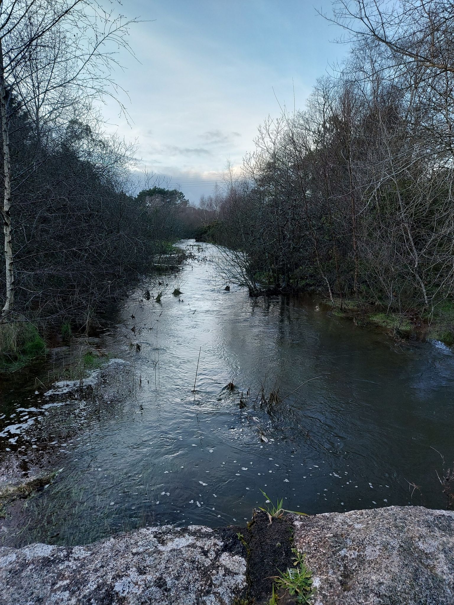 lots of water in the river