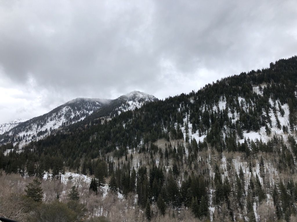 Snow-covered mountains with dense pine and aspen trees under a cloudy sky. - Dimple Dell East Trail – Holladay City Park loop from Meadowbrook