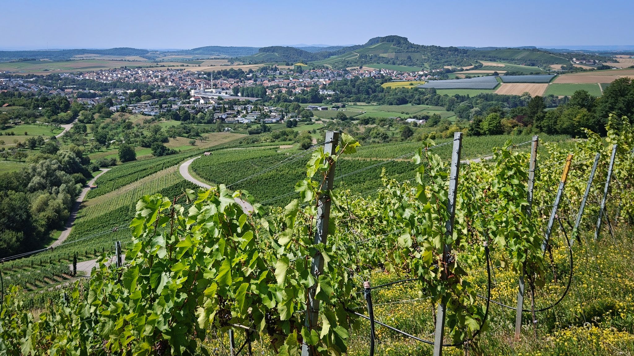 Aussicht auf Oberstenfeld