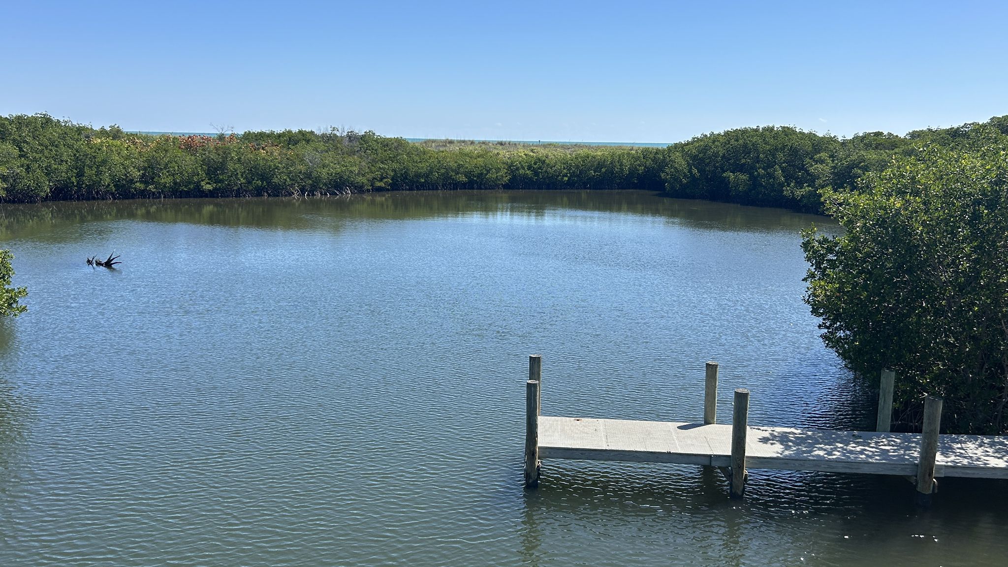 Bright day over calm water with a small dock and kayak among mangroves. - Jensen Beach & Bathtub Beach via Jetty Park