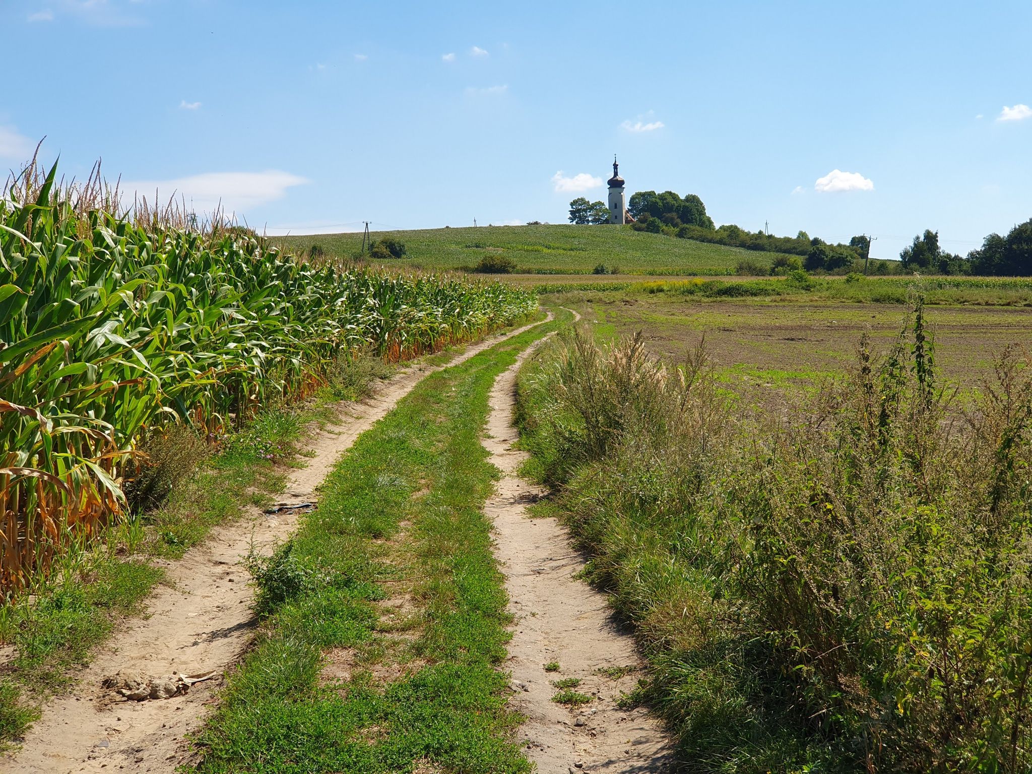 W drodze na Klimont