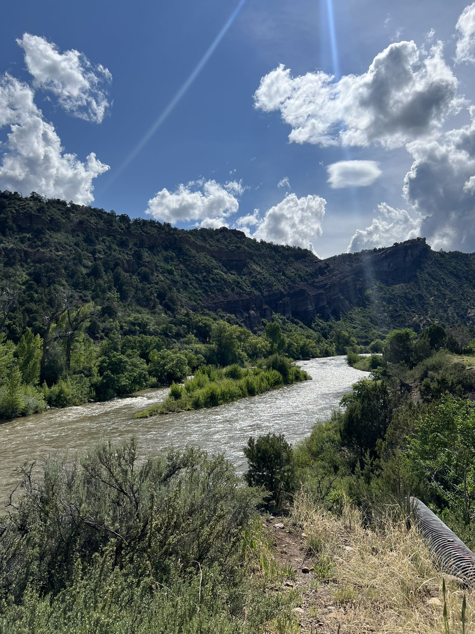 A river flows through a lush green valley with mountains under a bright, cloudy sky. - Animas River Trail