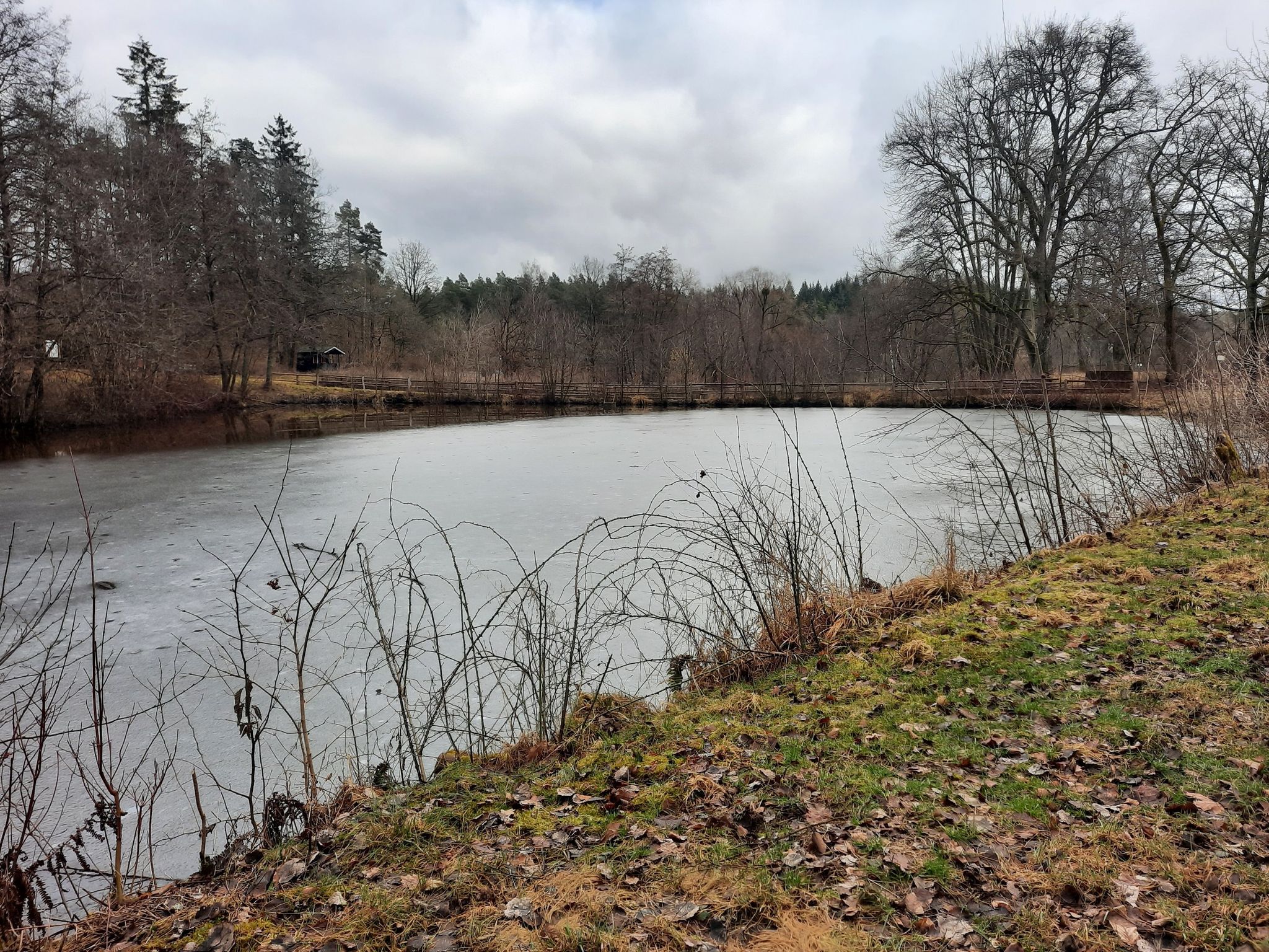 der Sambachsee