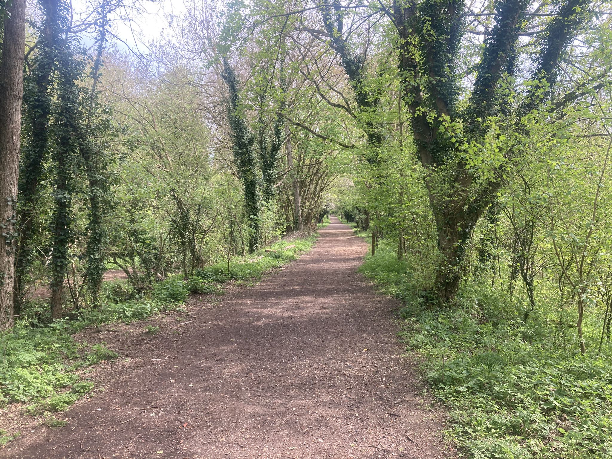 Ein schönes Stück Waldweg abseits der Straße