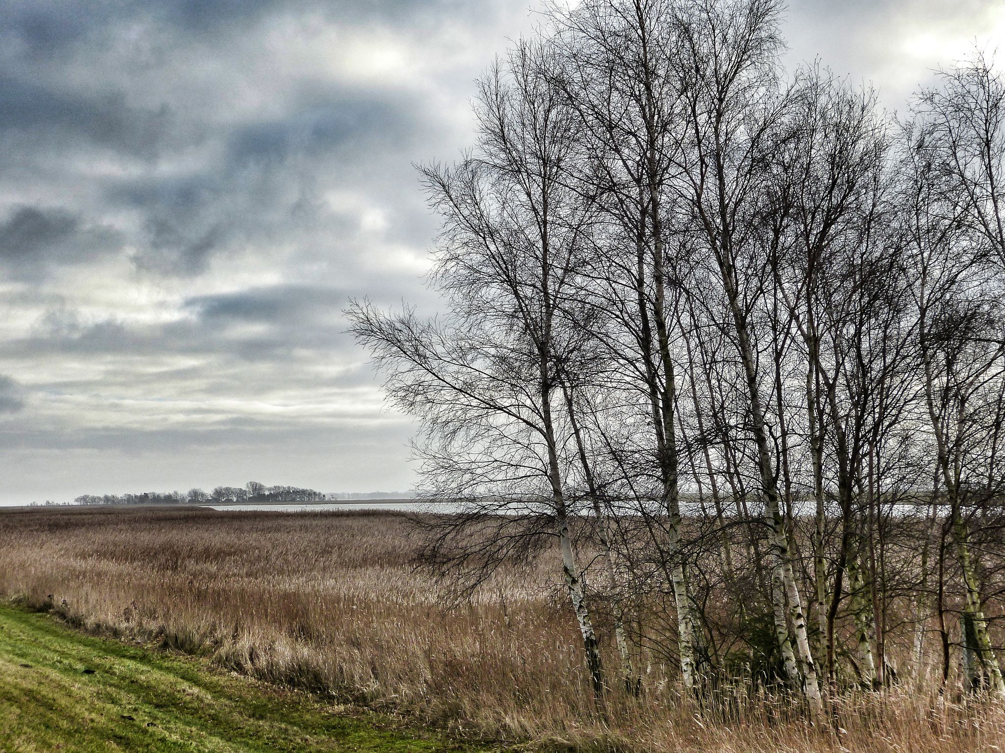 Boddenlandschaft bei Zingst